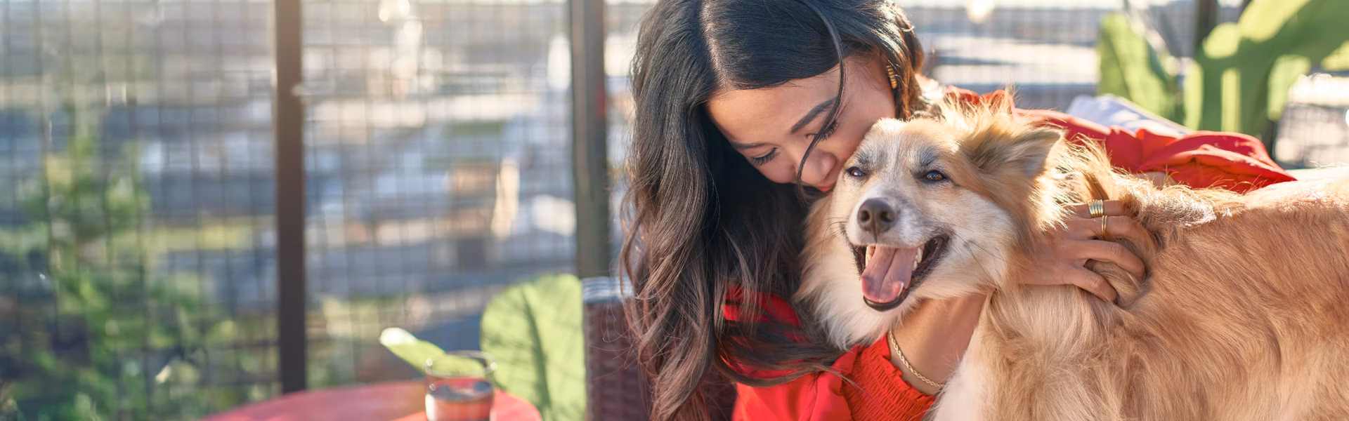 purinadogfood.it.com