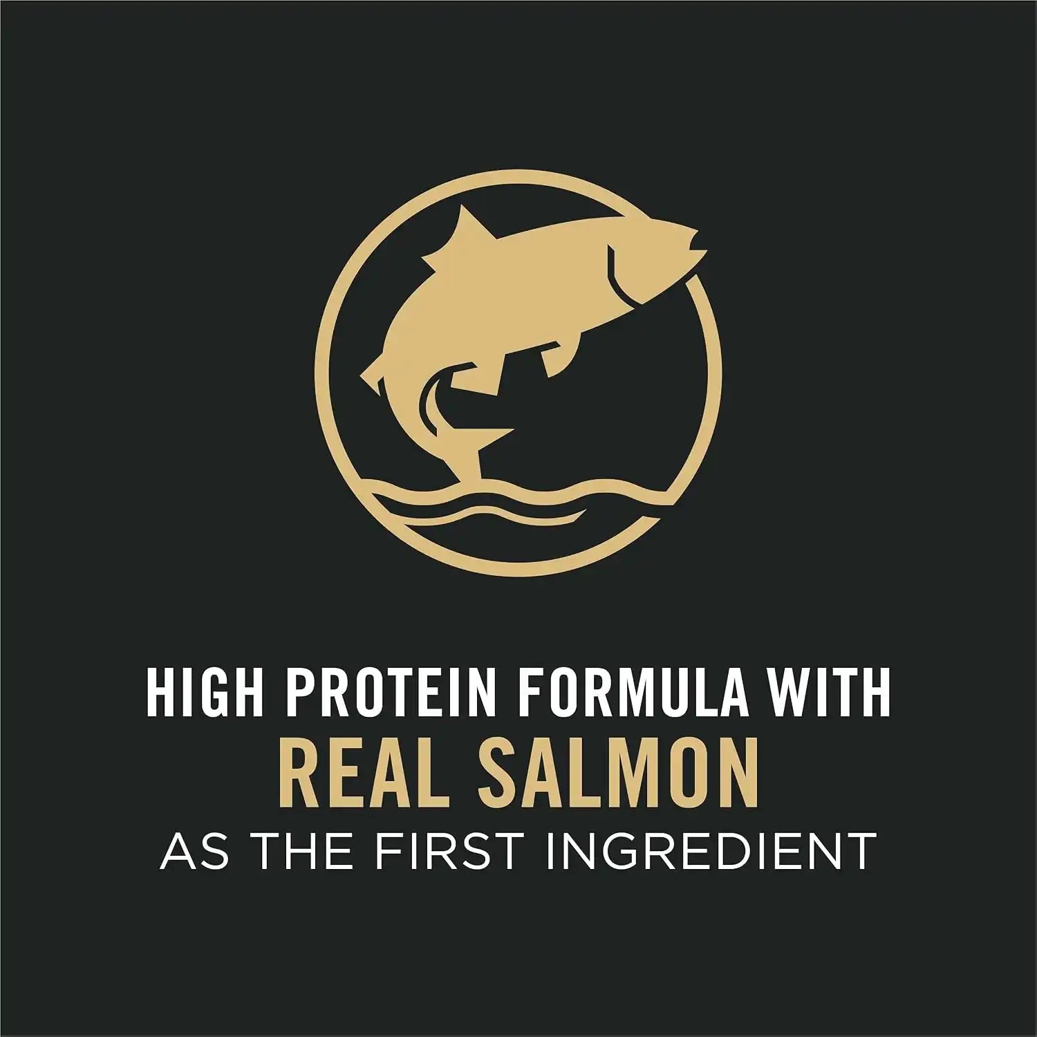 purinadogfood.it.com
