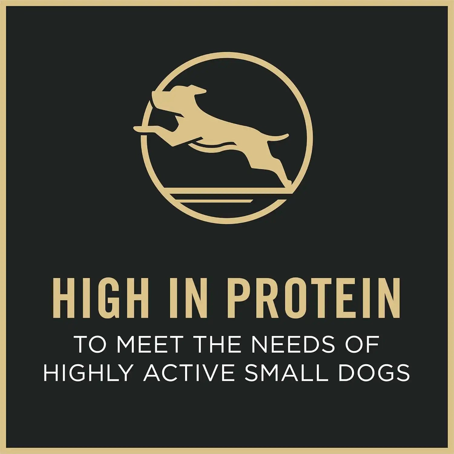 purinadogfood.it.com