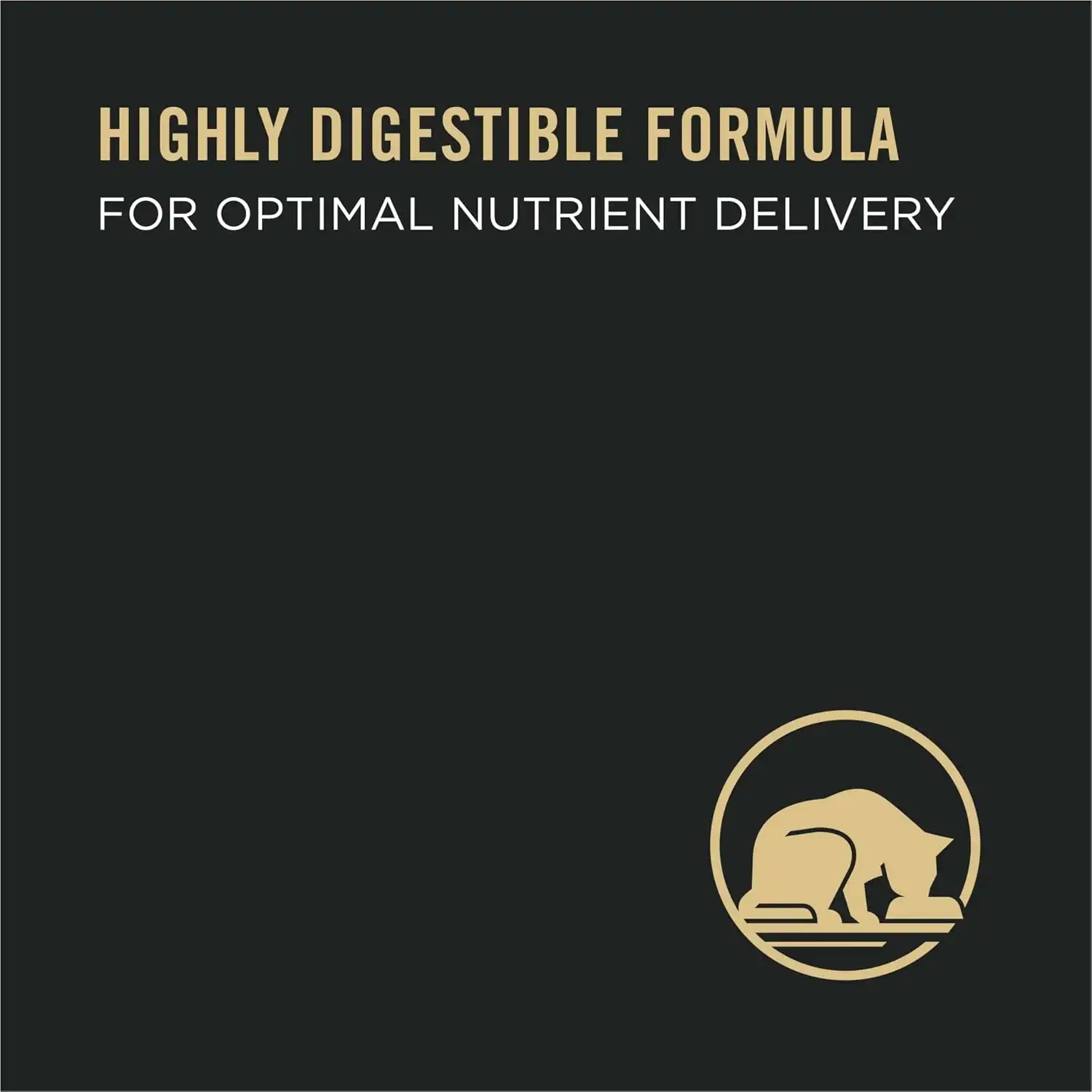 purinadogfood.it.com
