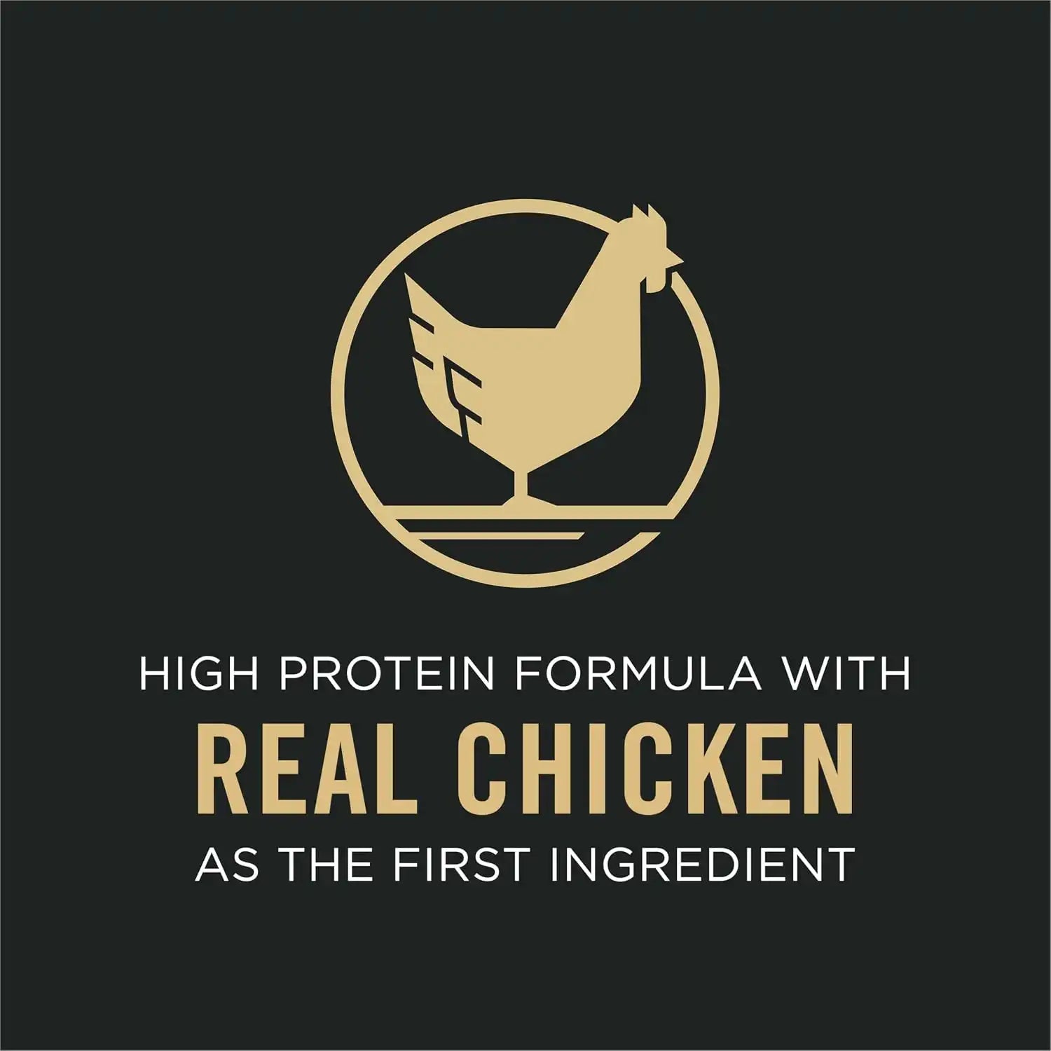 purinadogfood.it.com