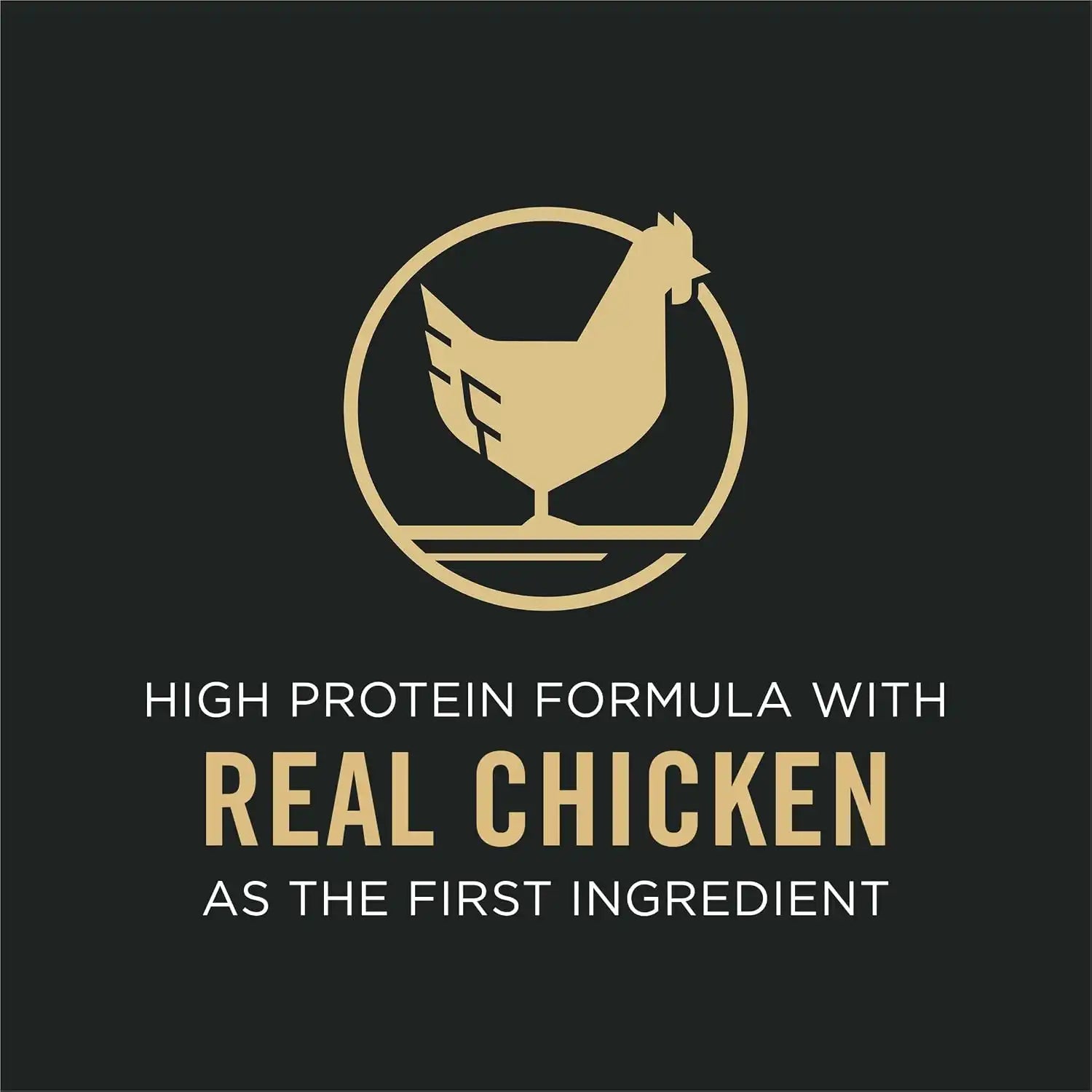 purinadogfood.it.com