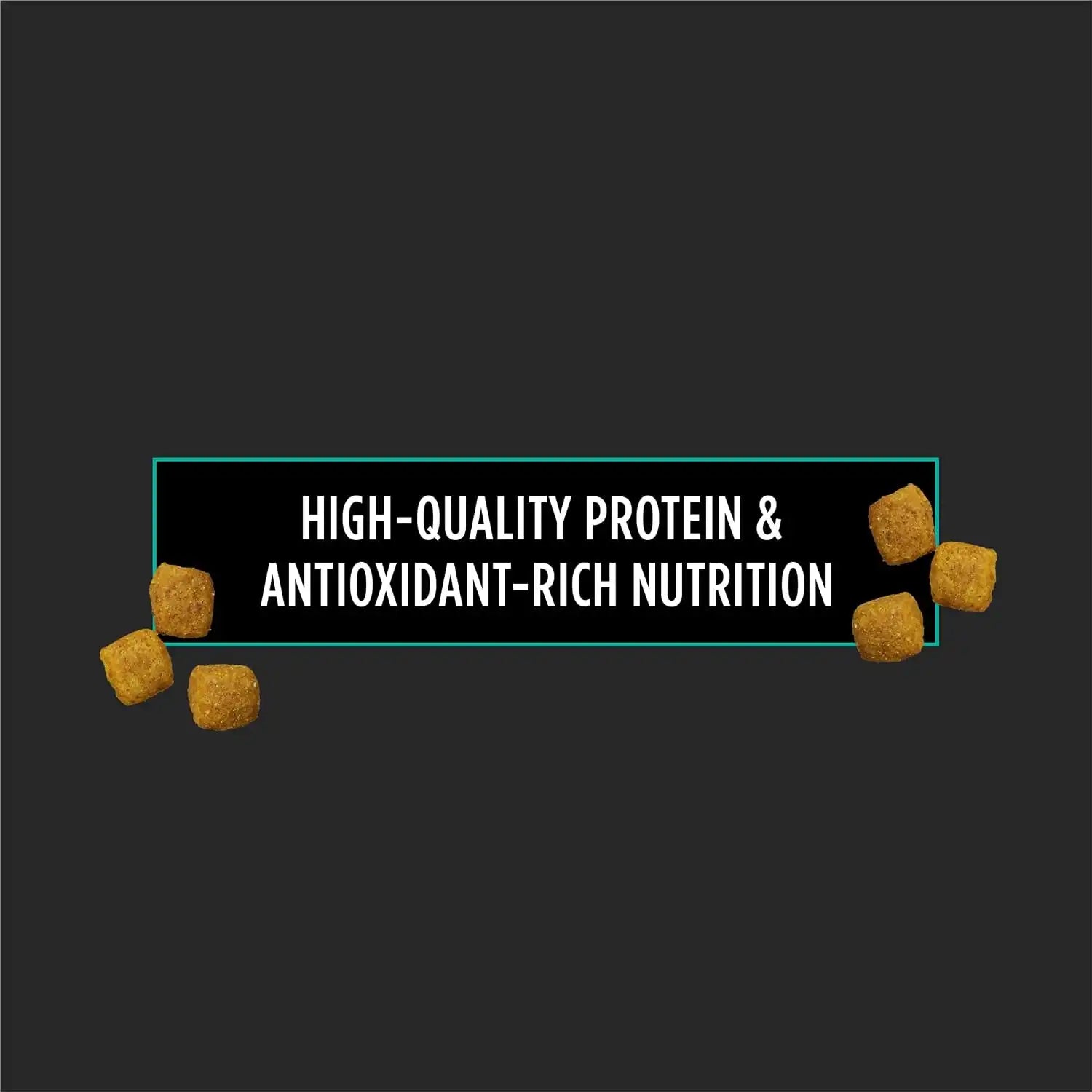 purinadogfood.it.com