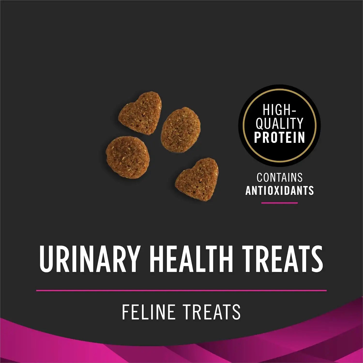purinadogfood.it.com