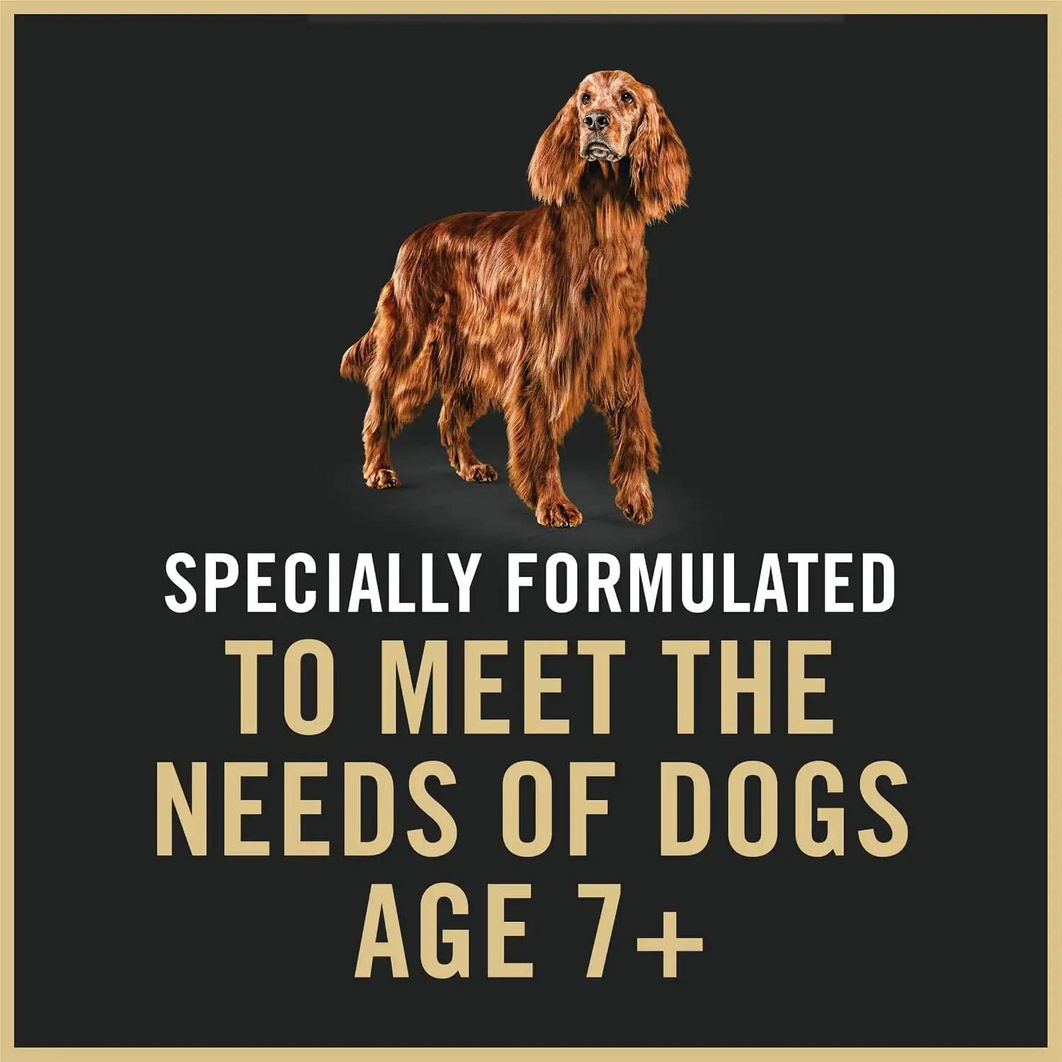 purinadogfood.it.com