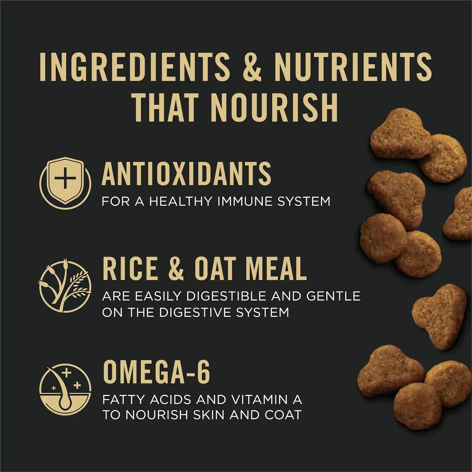 purinadogfood.it.com