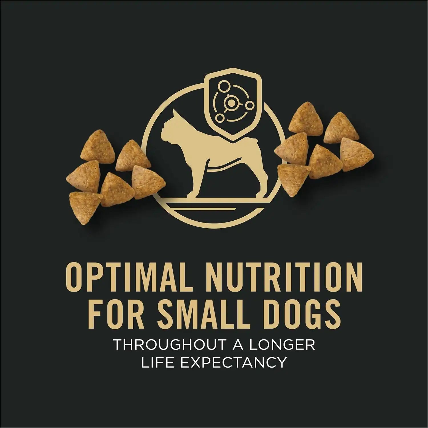 purinadogfood.it.com