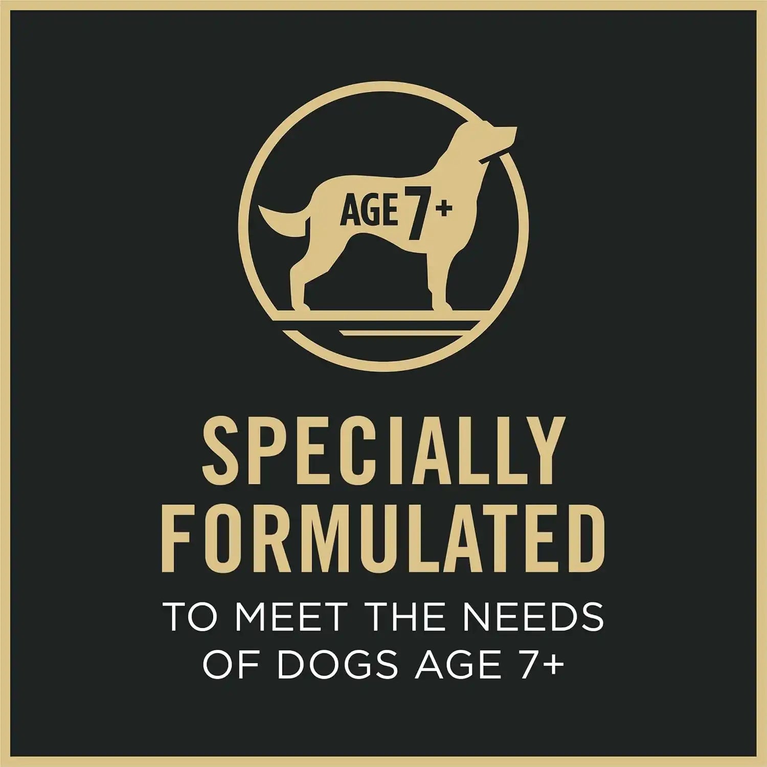 purinadogfood.it.com