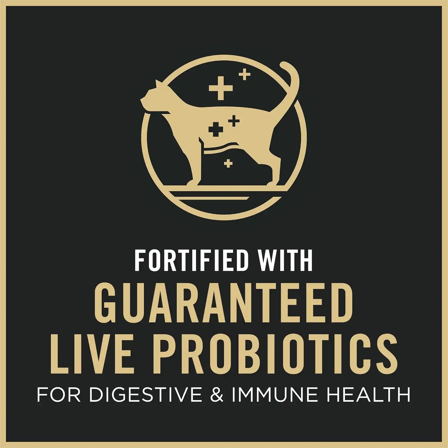 purinadogfood.it.com