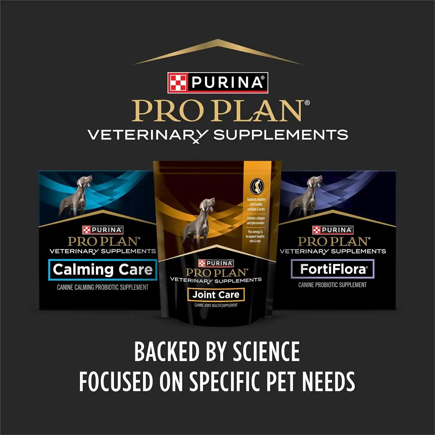 purinadogfood.it.com