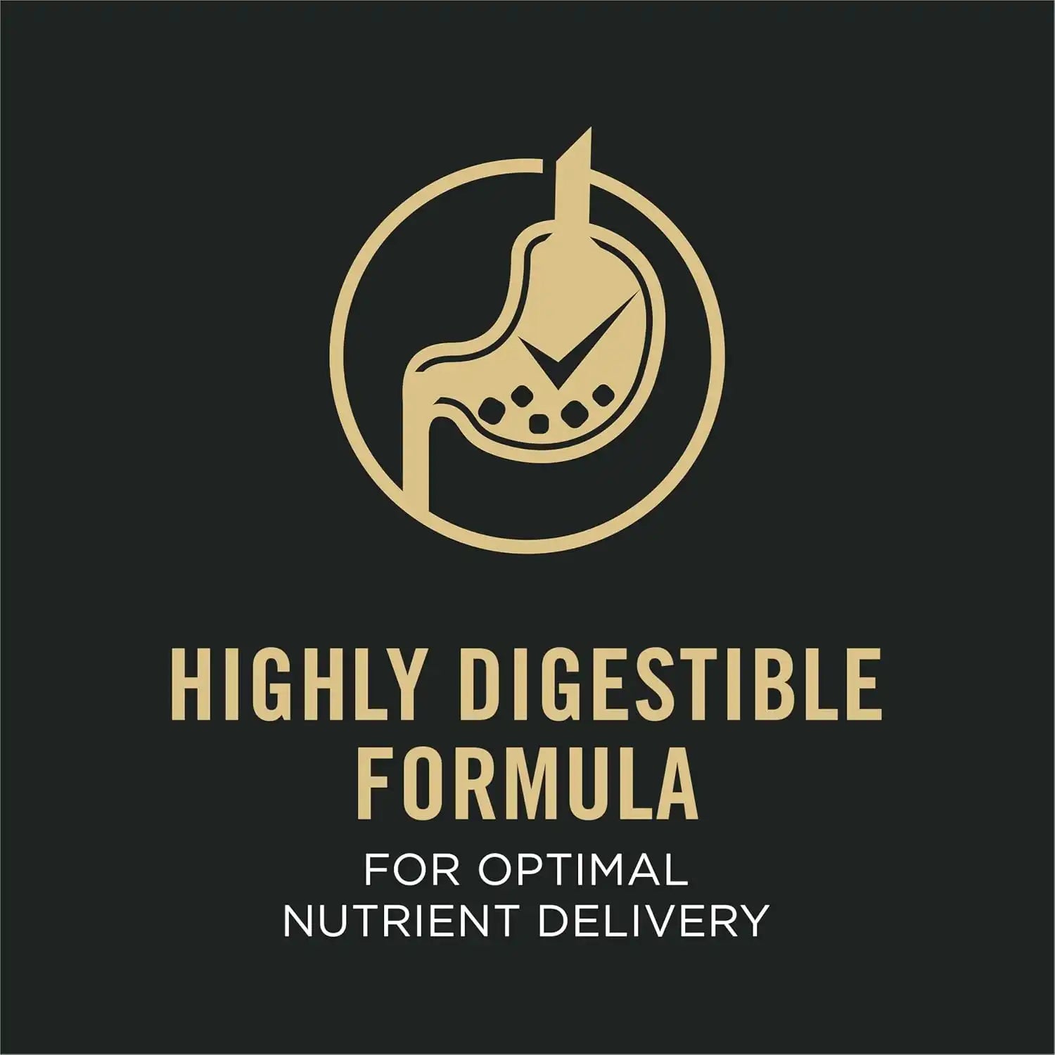 purinadogfood.it.com