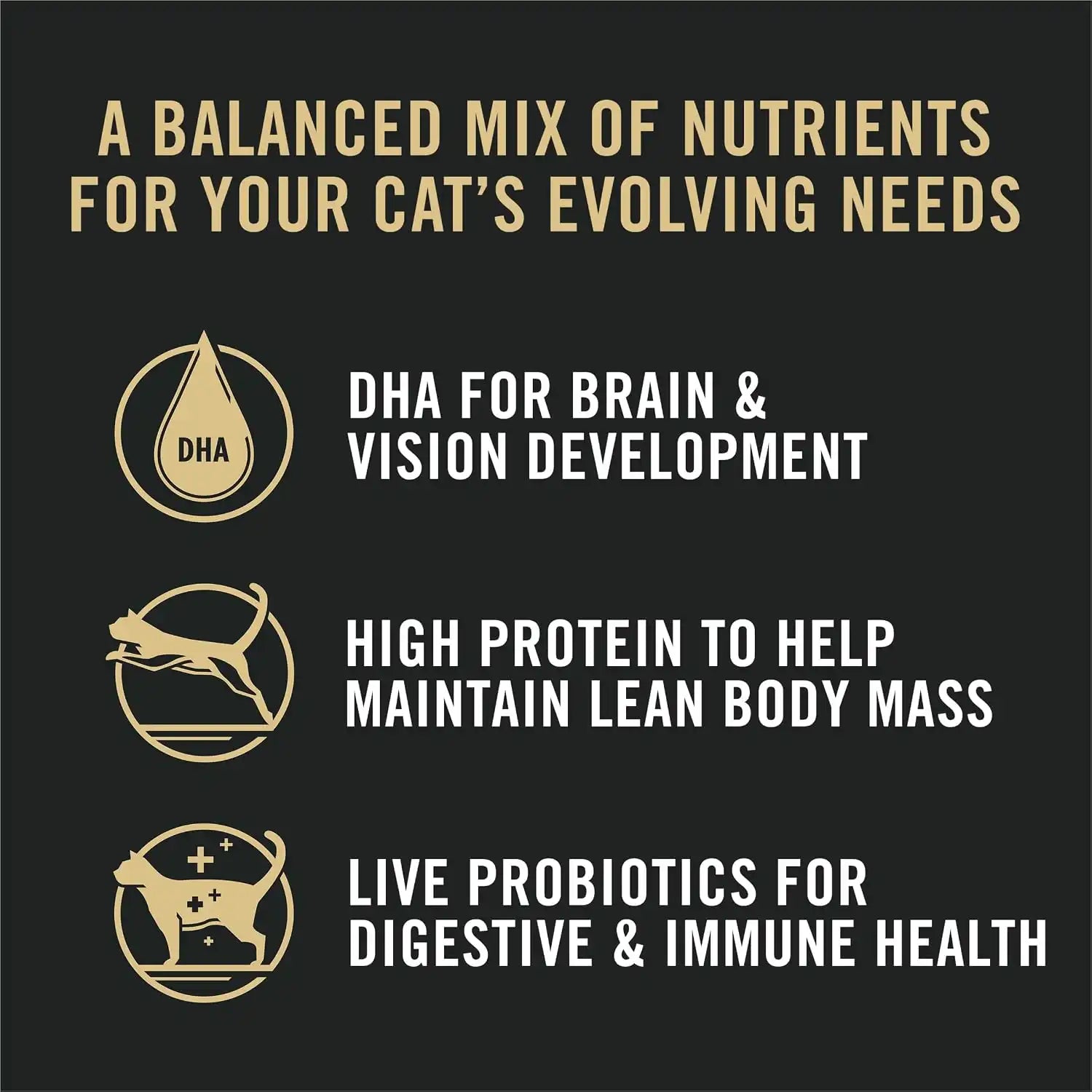 purinadogfood.it.com