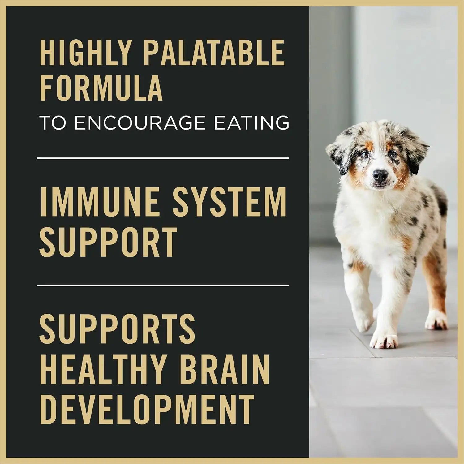 purinadogfood.it.com