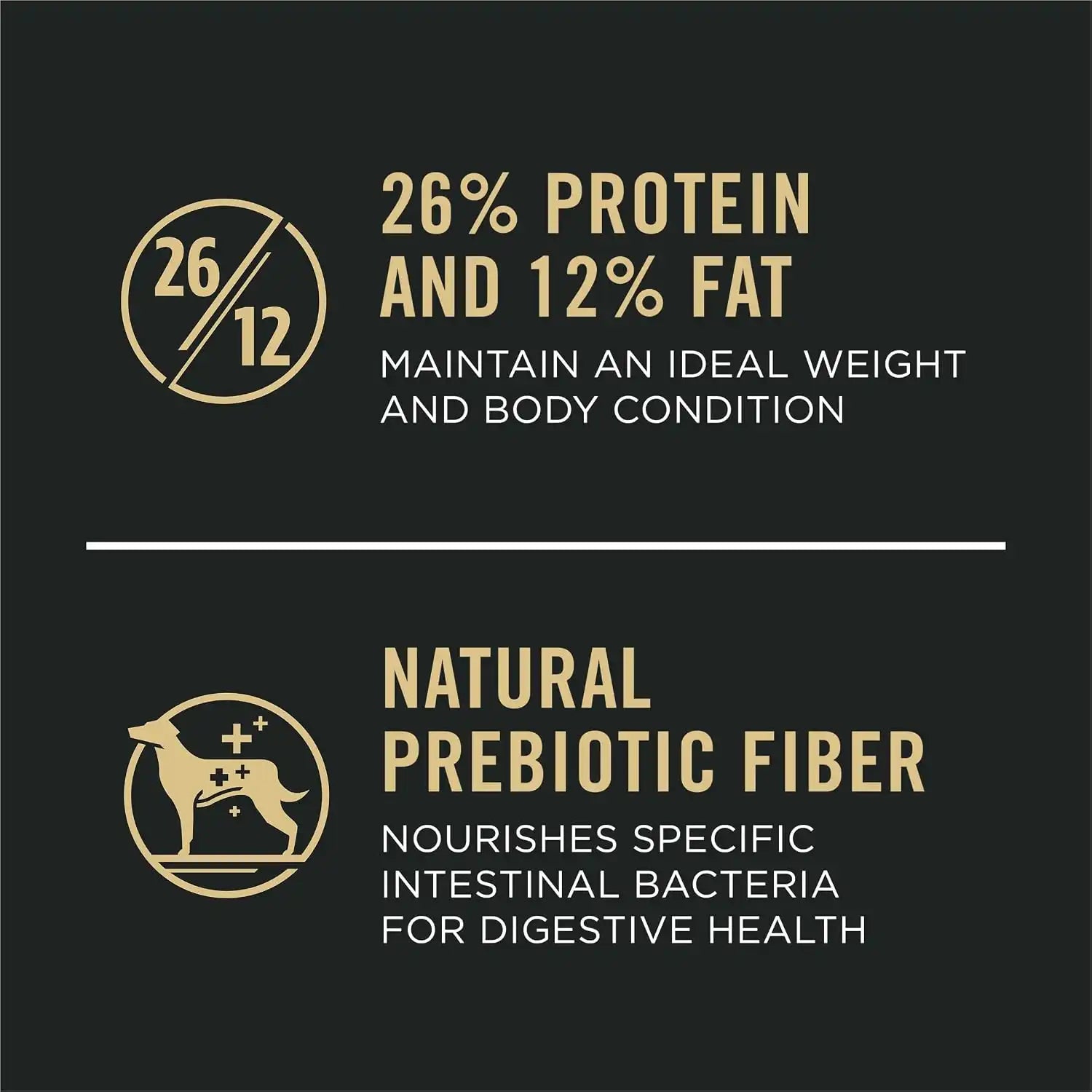 purinadogfood.it.com