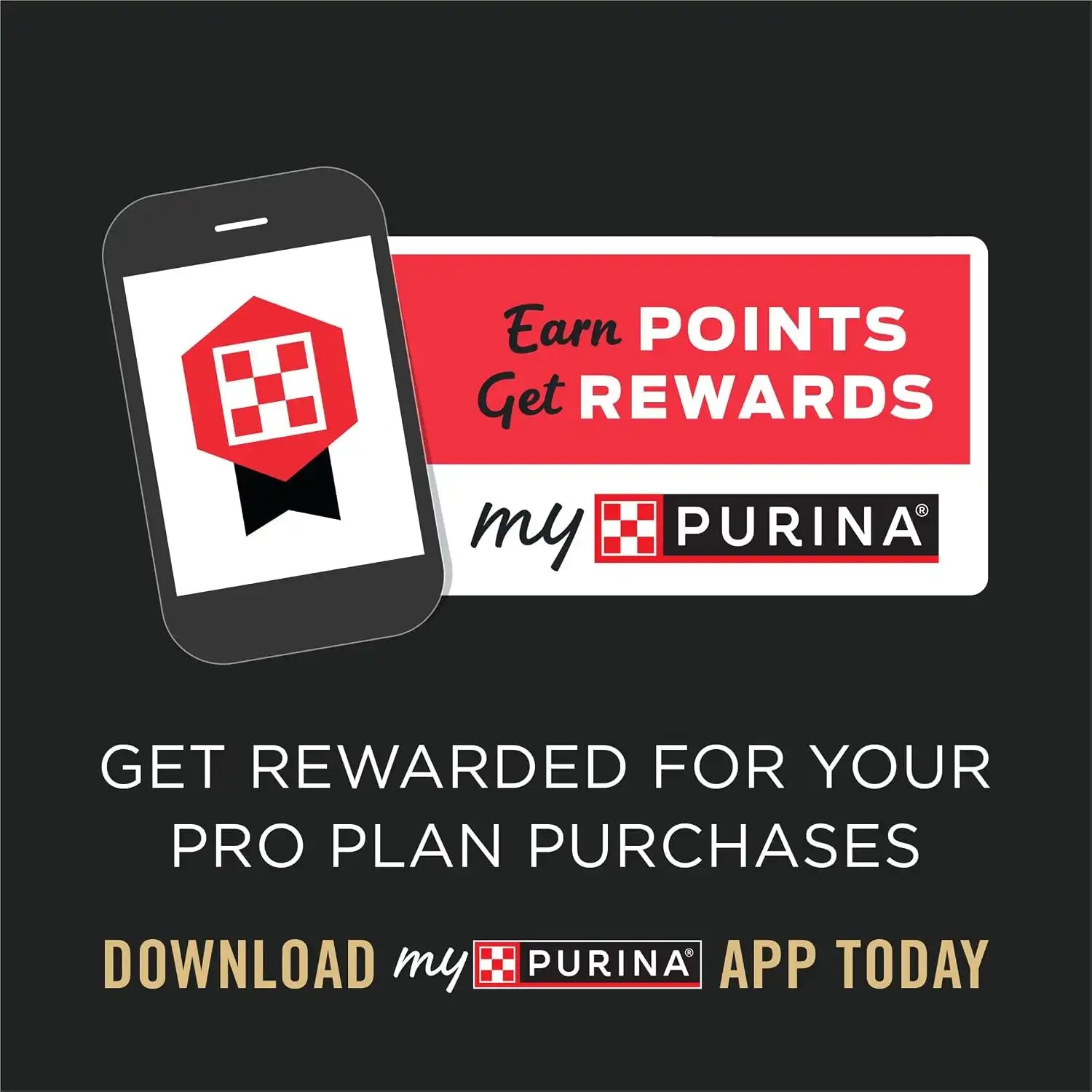 purinadogfood.it.com