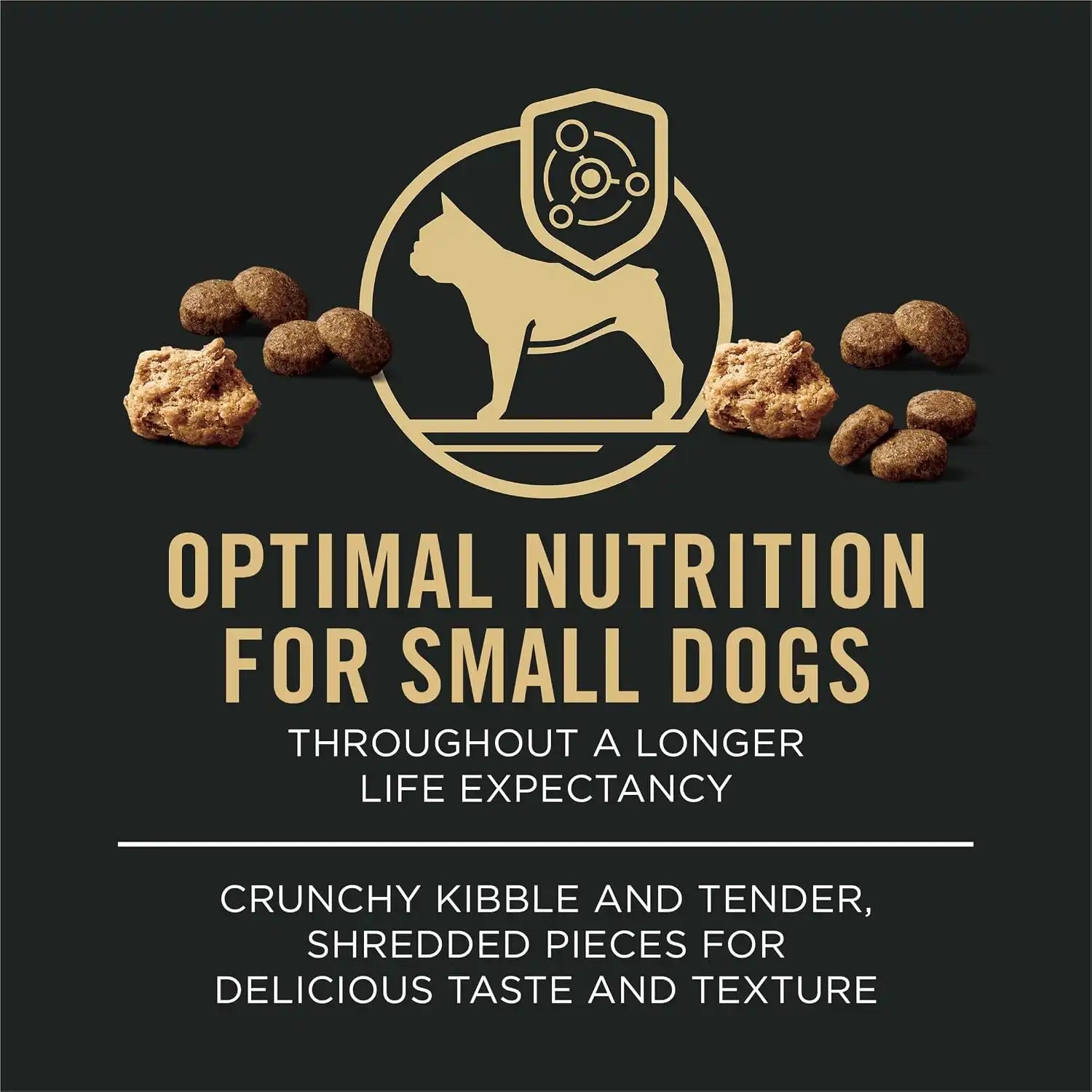 purinadogfood.it.com