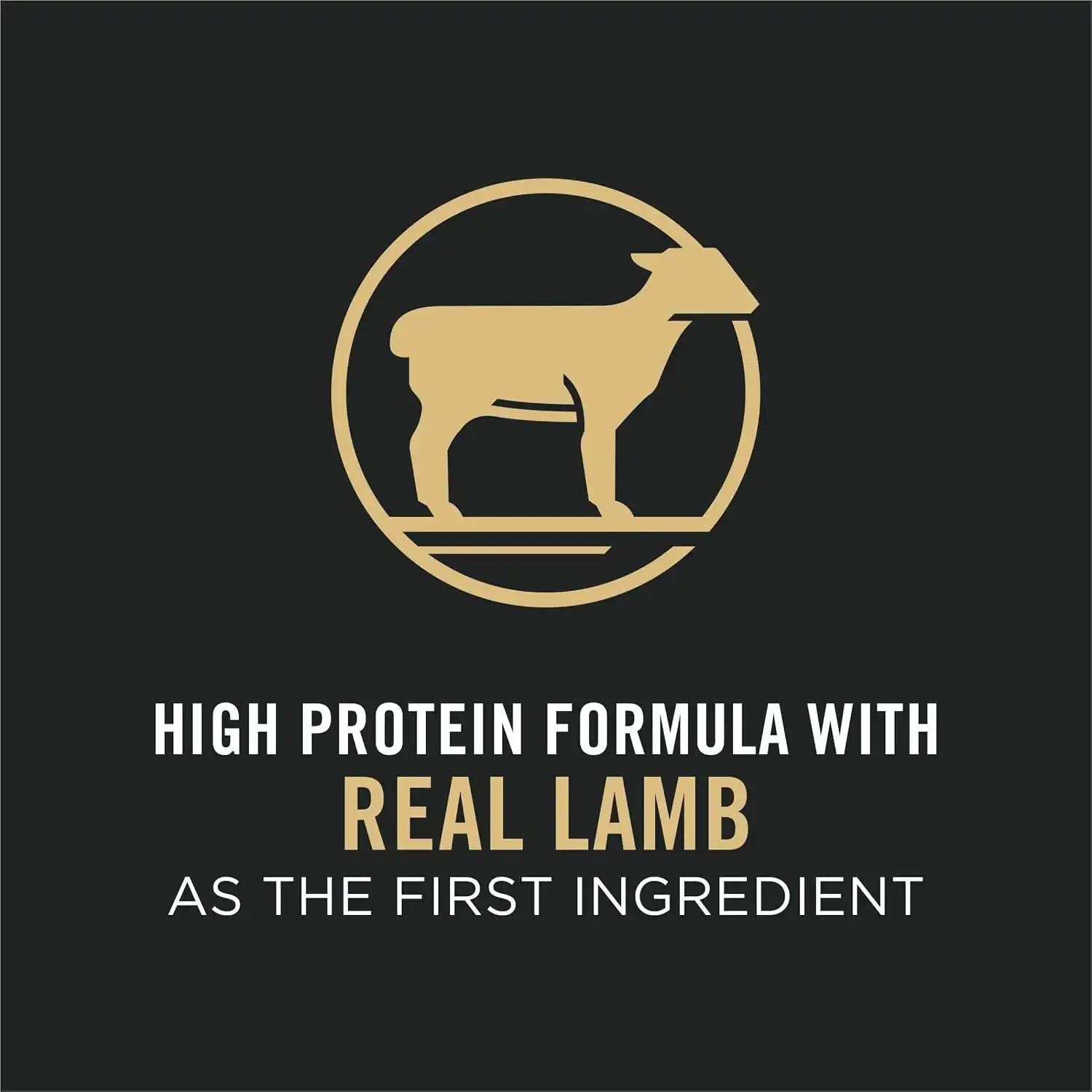 purinadogfood.it.com