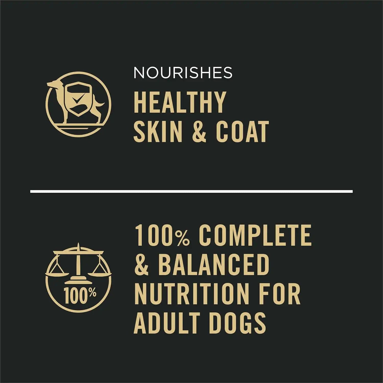 purinadogfood.it.com