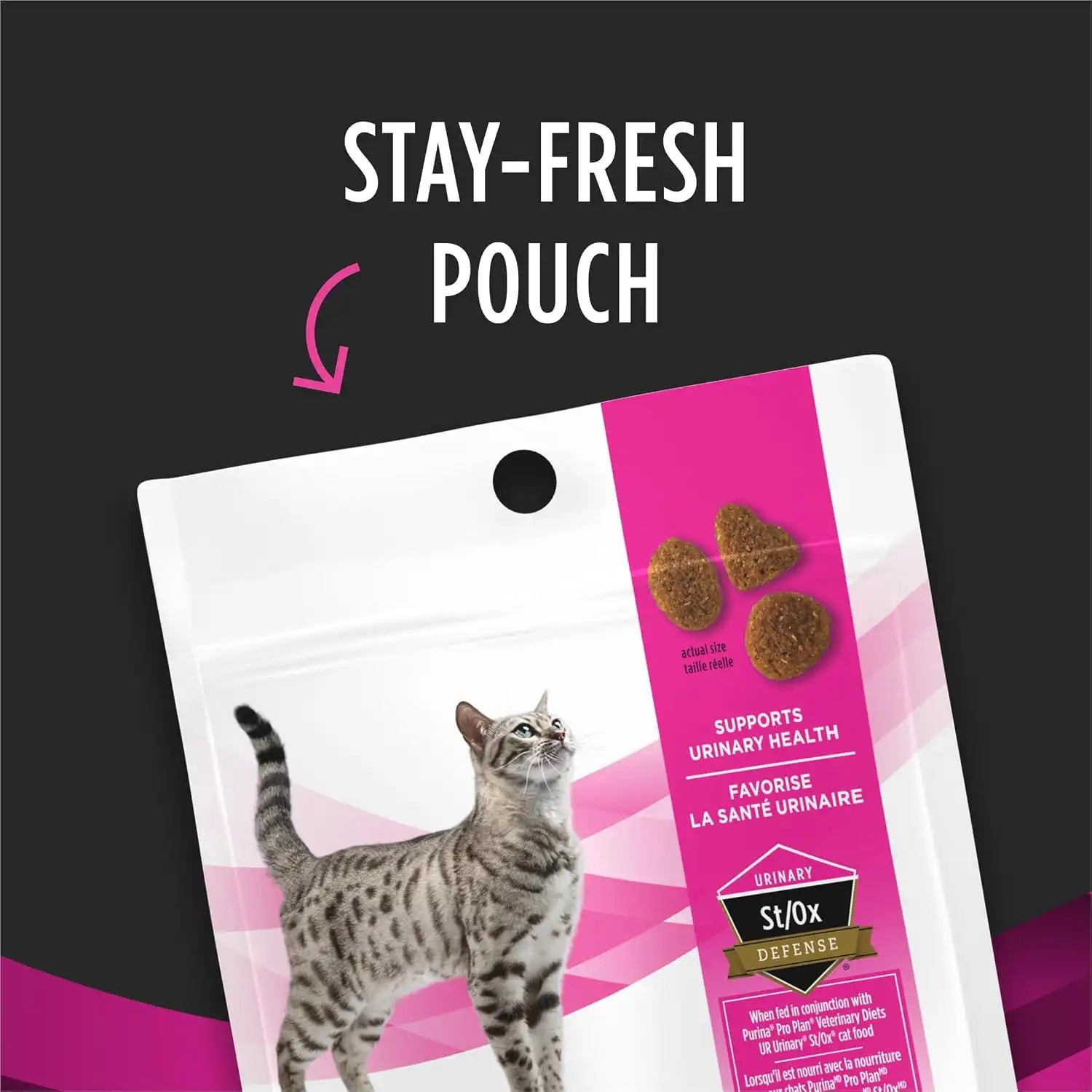 purinadogfood.it.com
