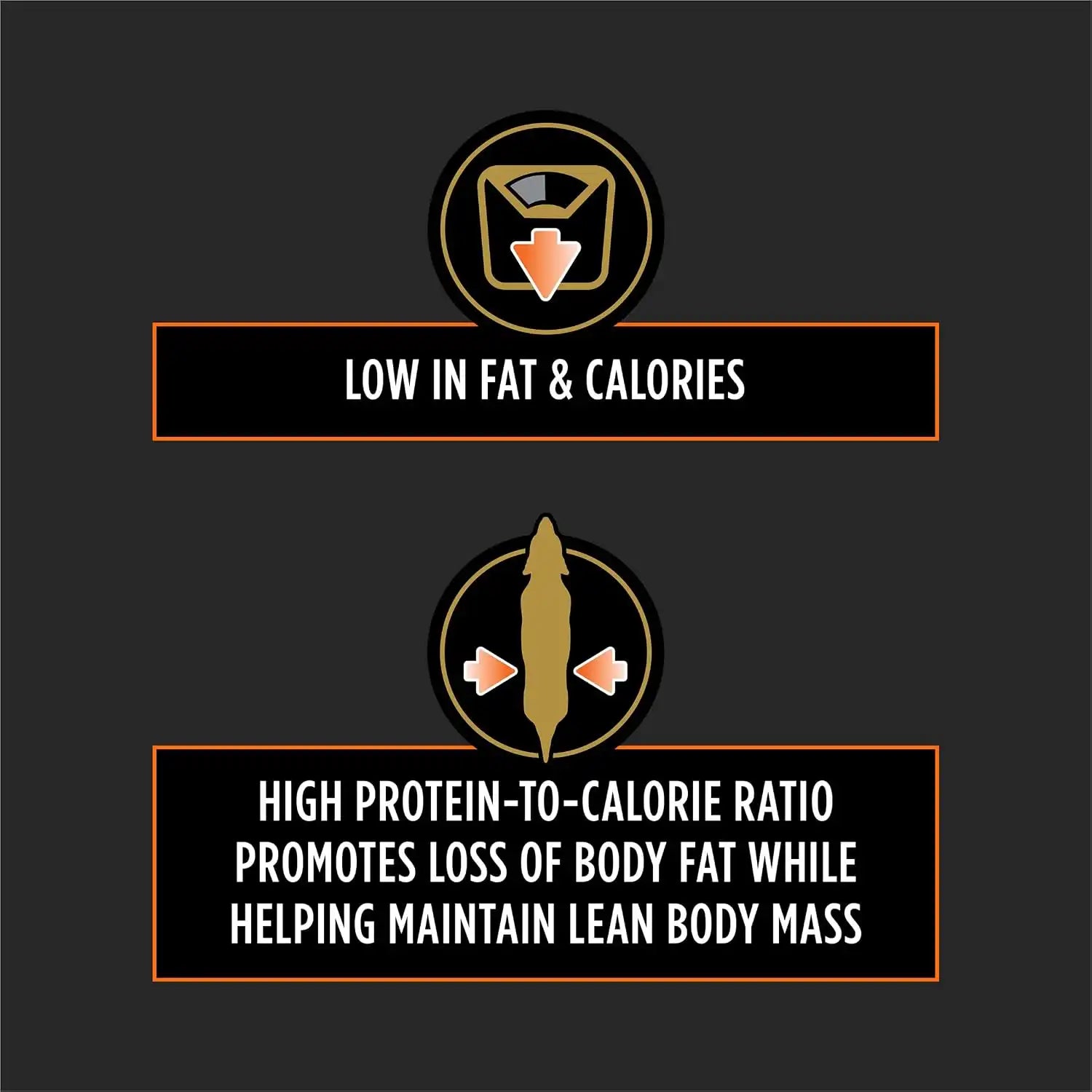 purinadogfood.it.com