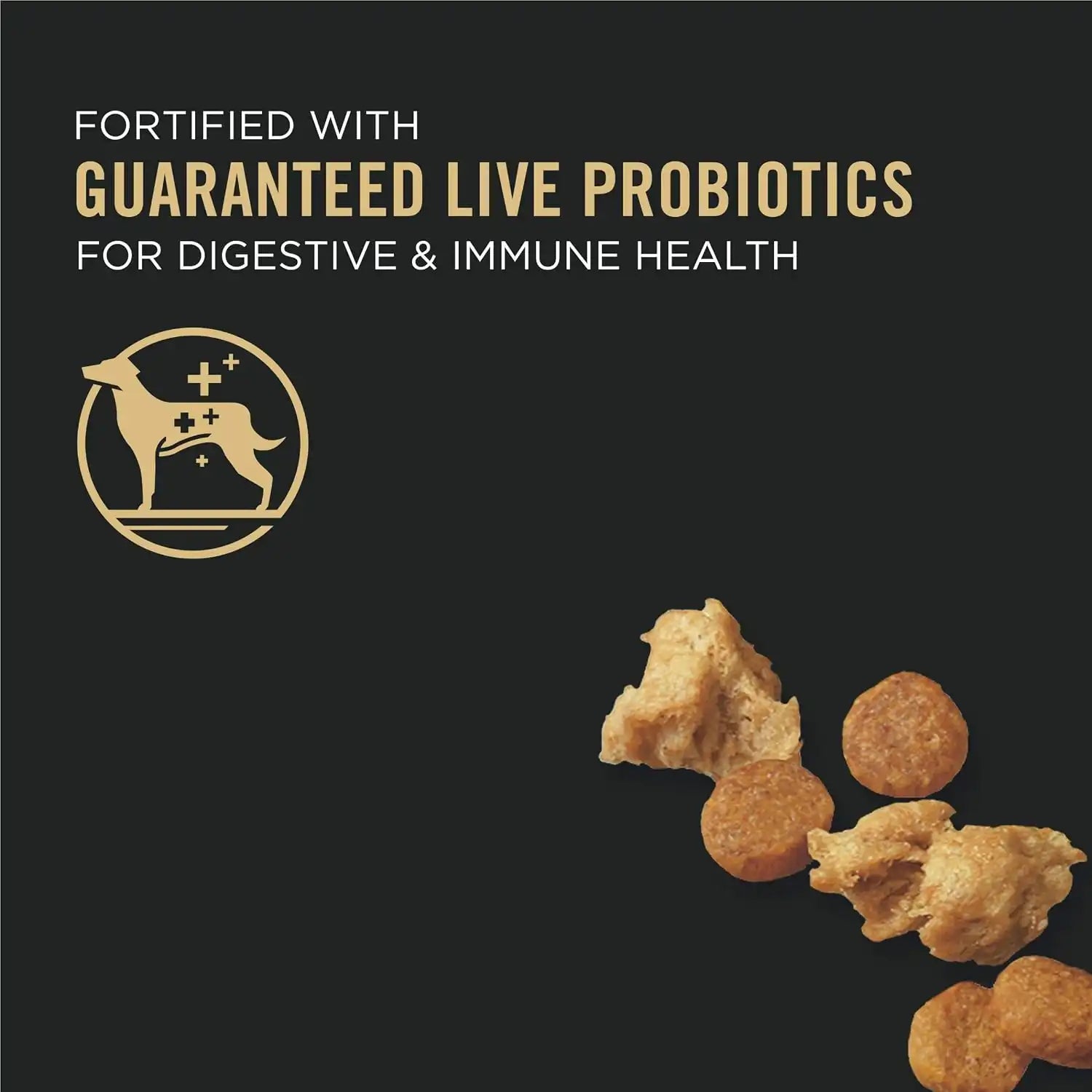 purinadogfood.it.com