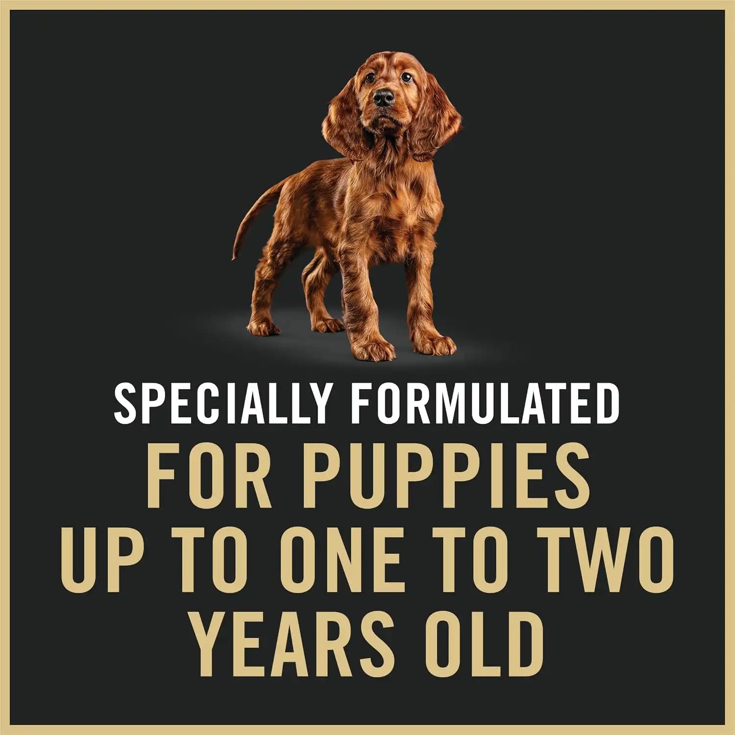 purinadogfood.it.com