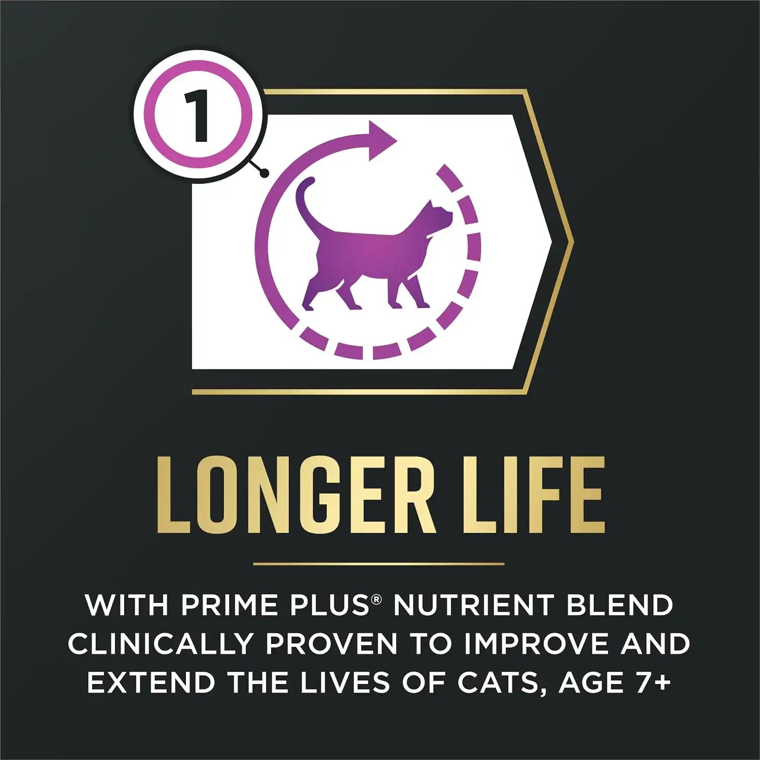 purinadogfood.it.com