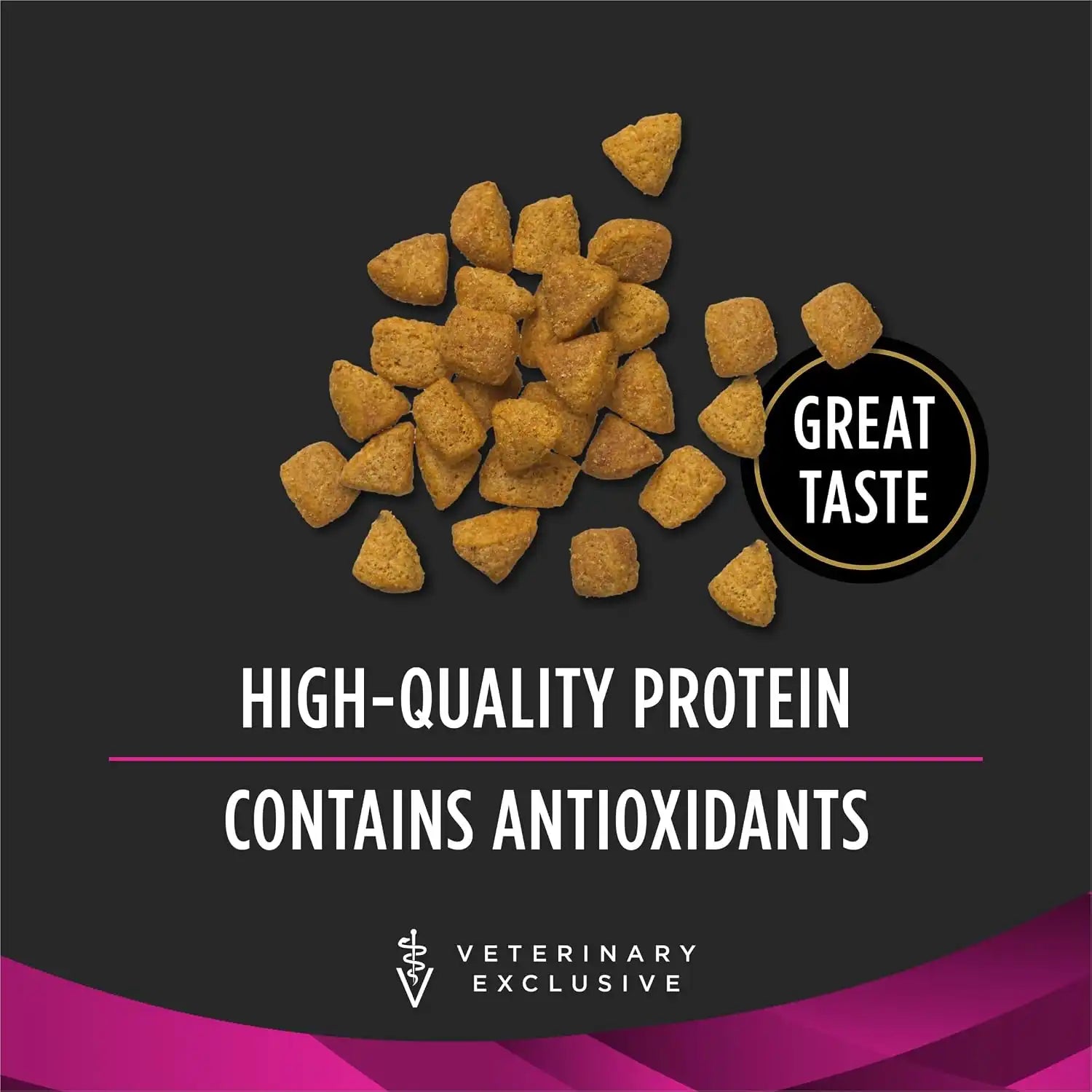 purinadogfood.it.com