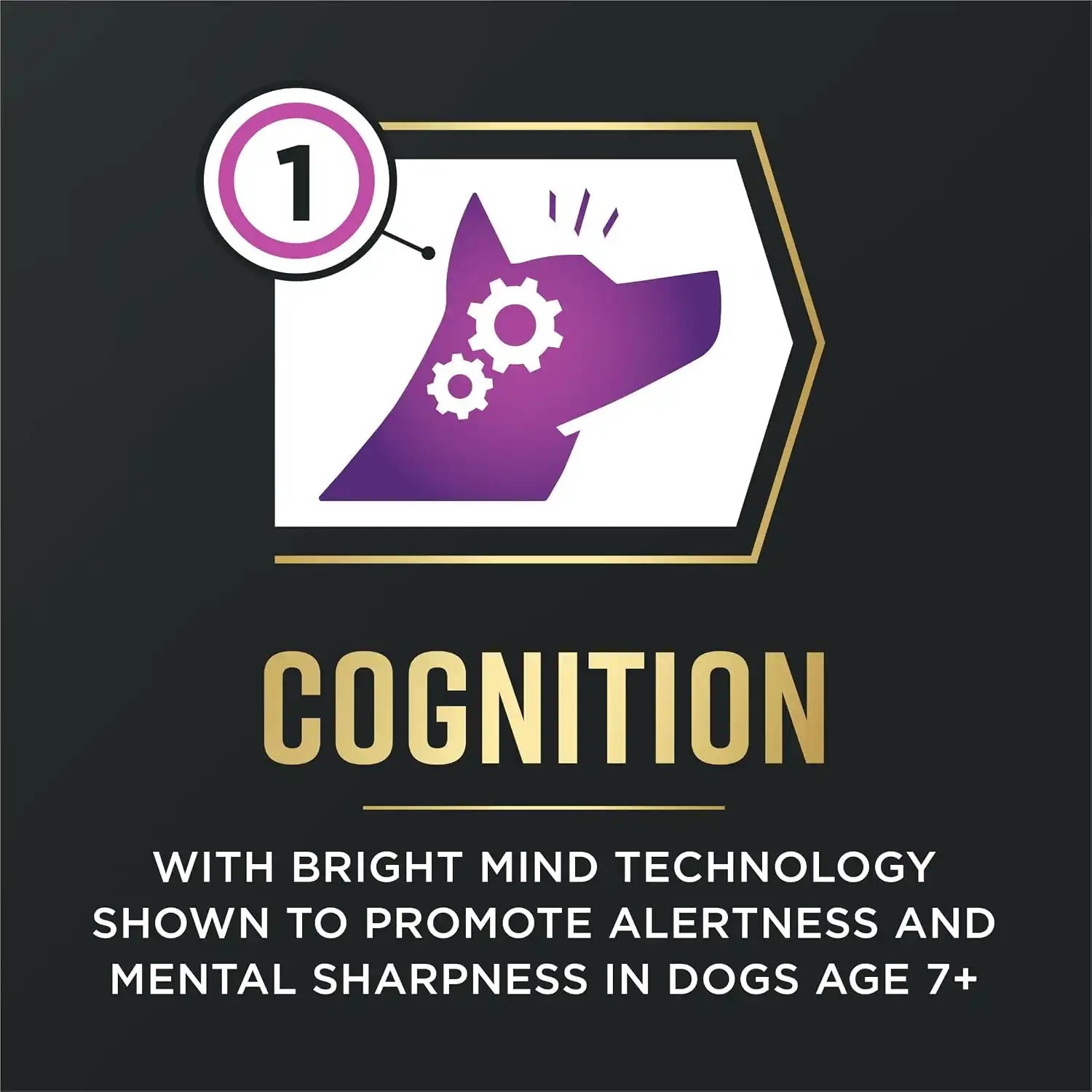 purinadogfood.it.com