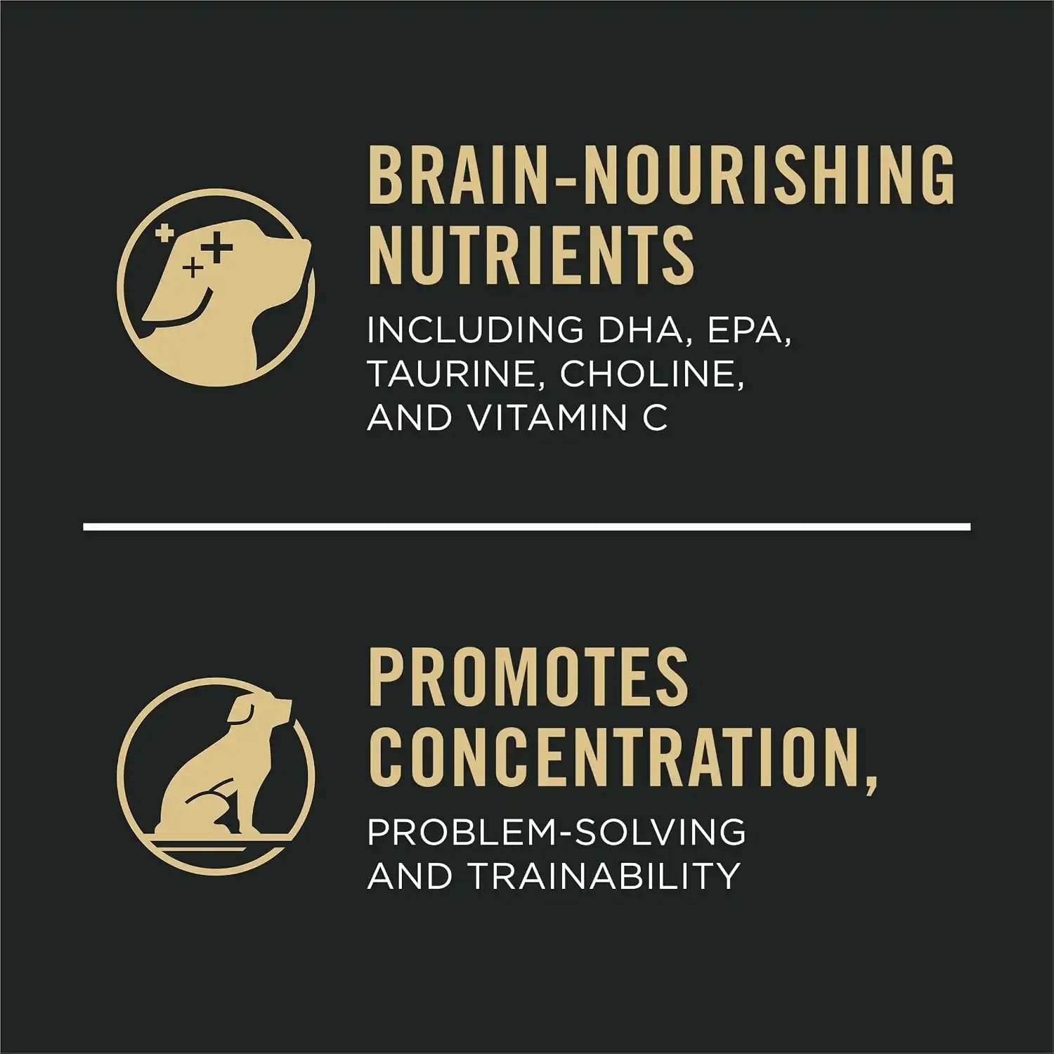 purinadogfood.it.com