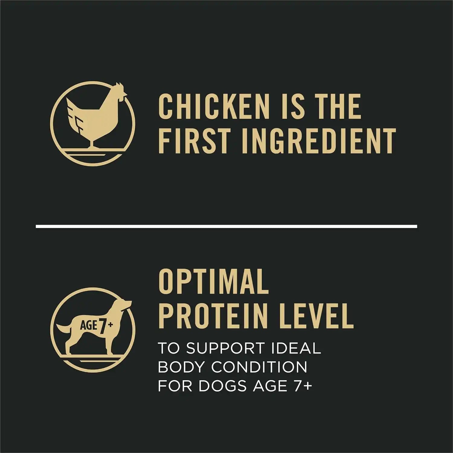 purinadogfood.it.com