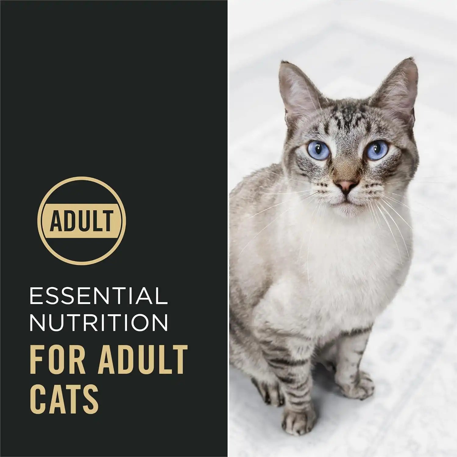 purinadogfood.it.com