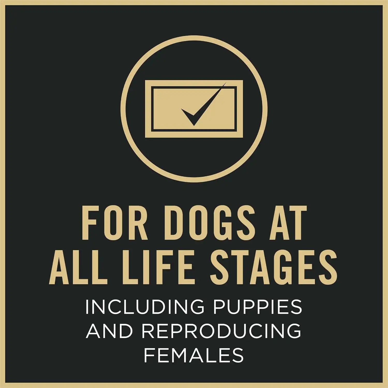 purinadogfood.it.com