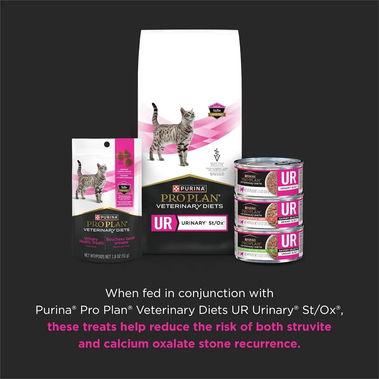 purinadogfood.it.com