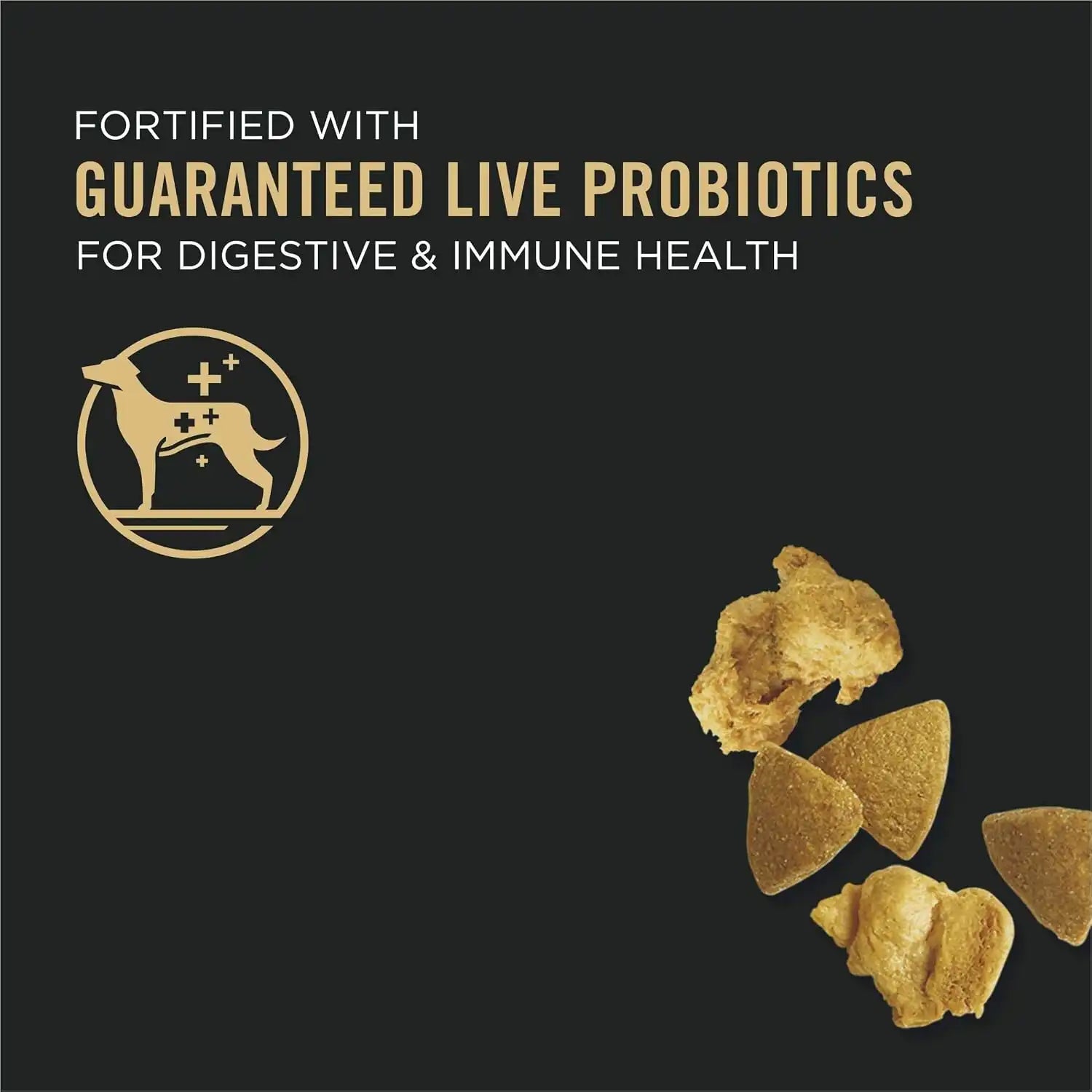 purinadogfood.it.com