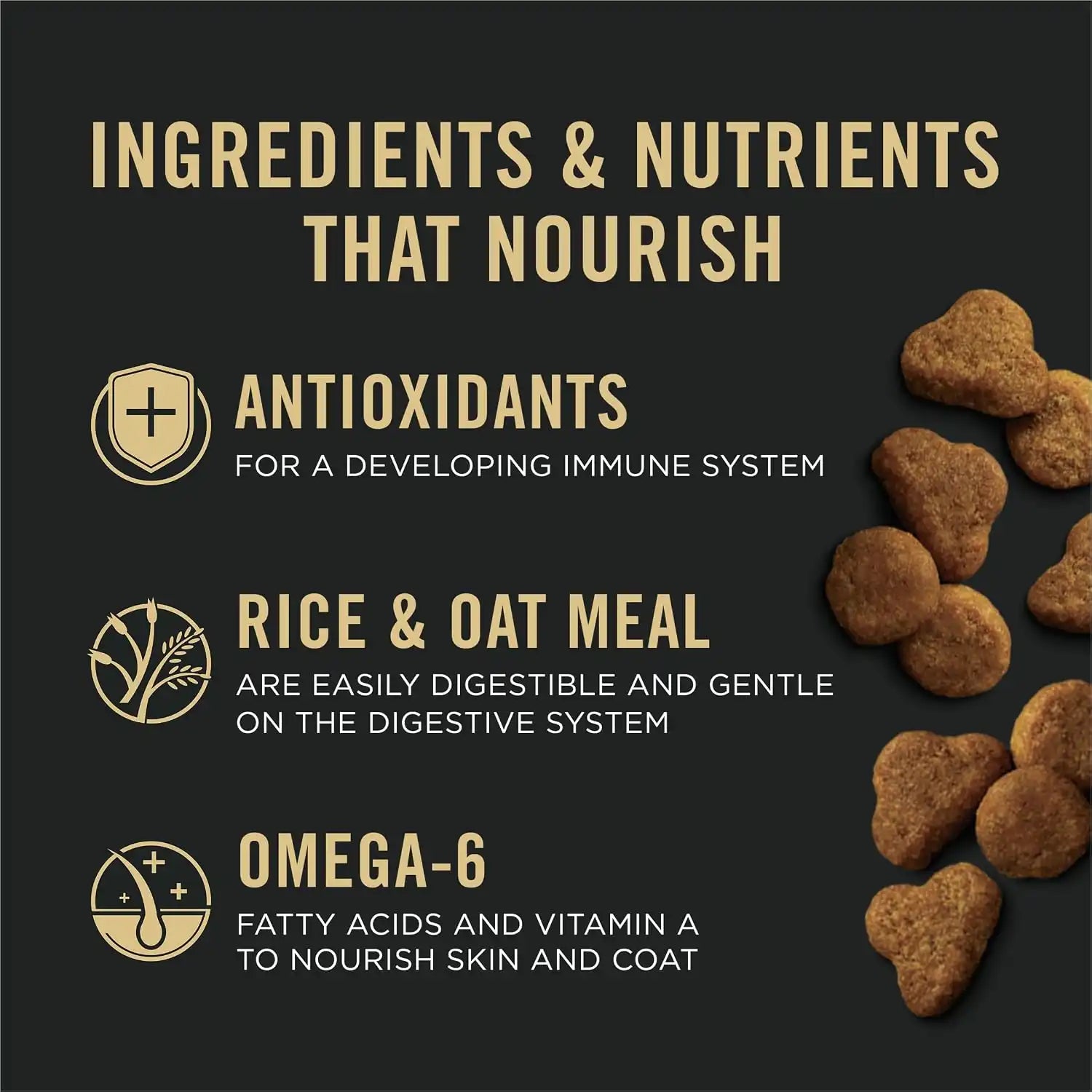 purinadogfood.it.com