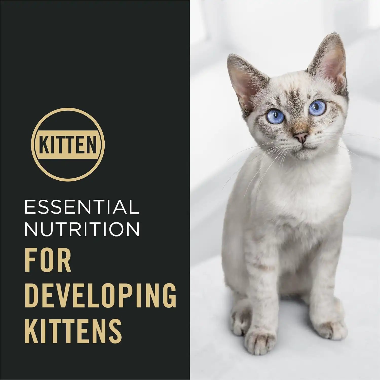 purinadogfood.it.com