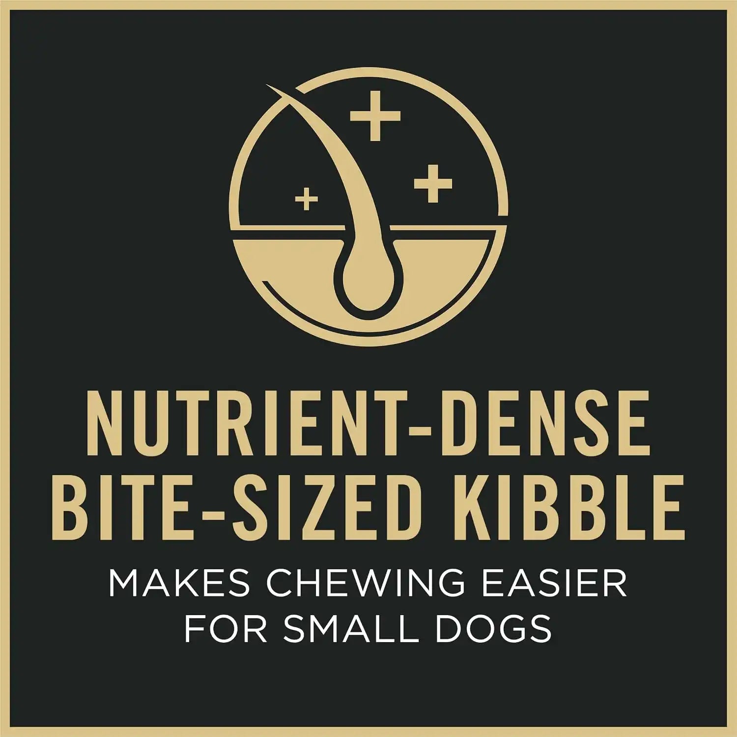 purinadogfood.it.com
