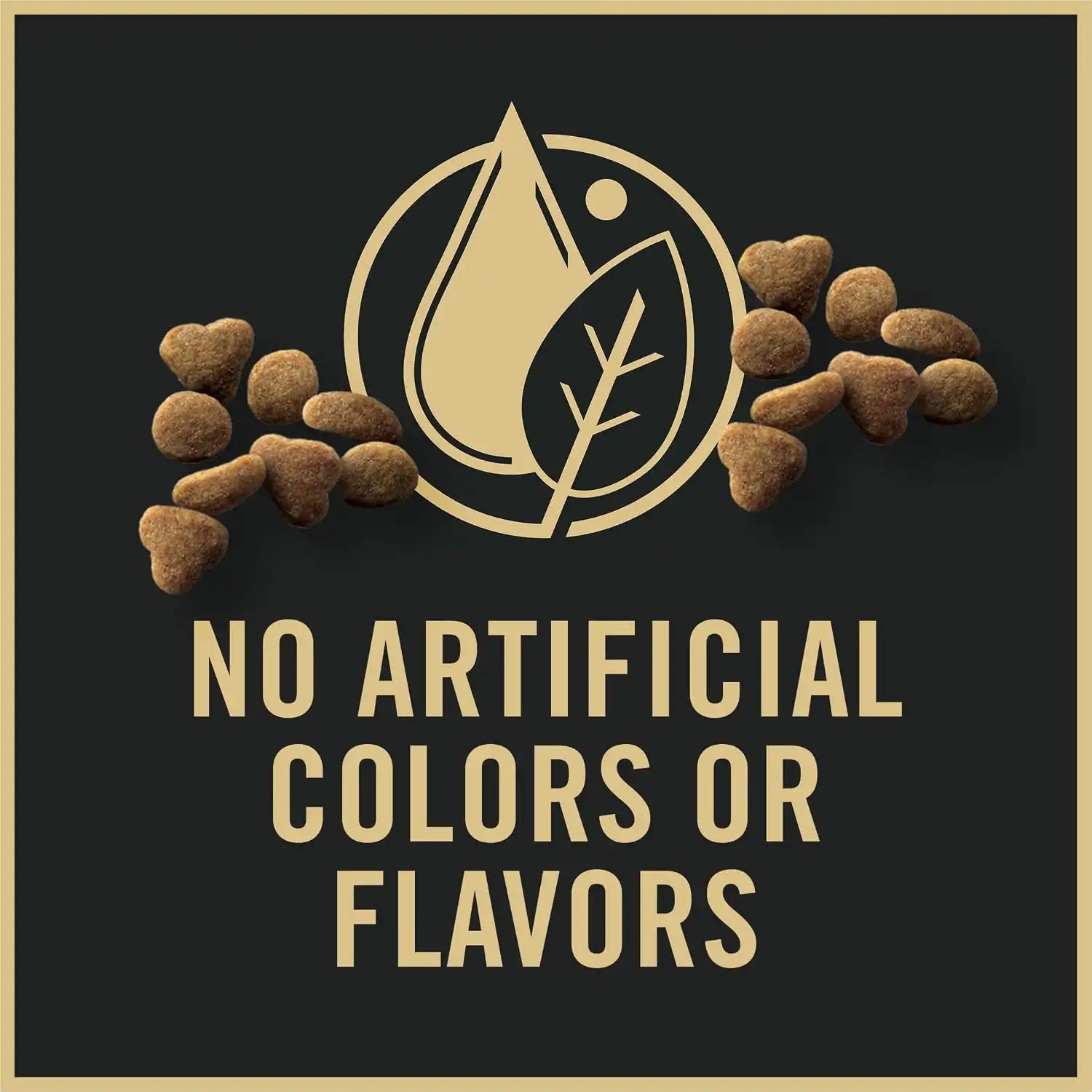 purinadogfood.it.com