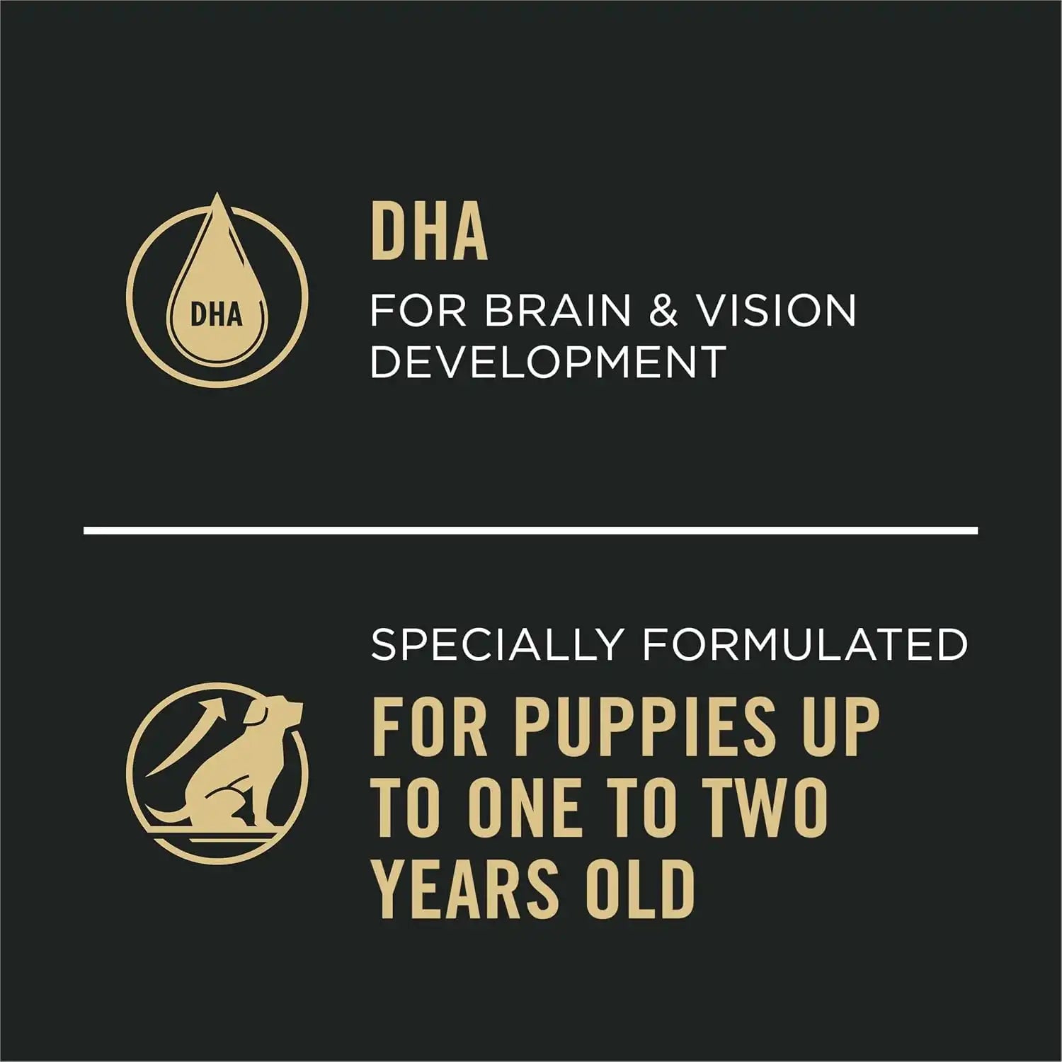 purinadogfood.it.com
