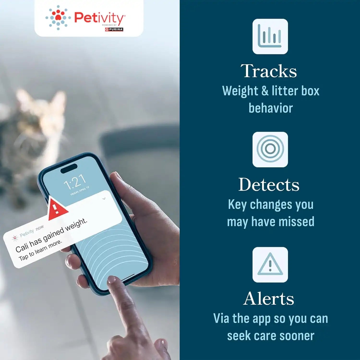purinadogfood.it.com