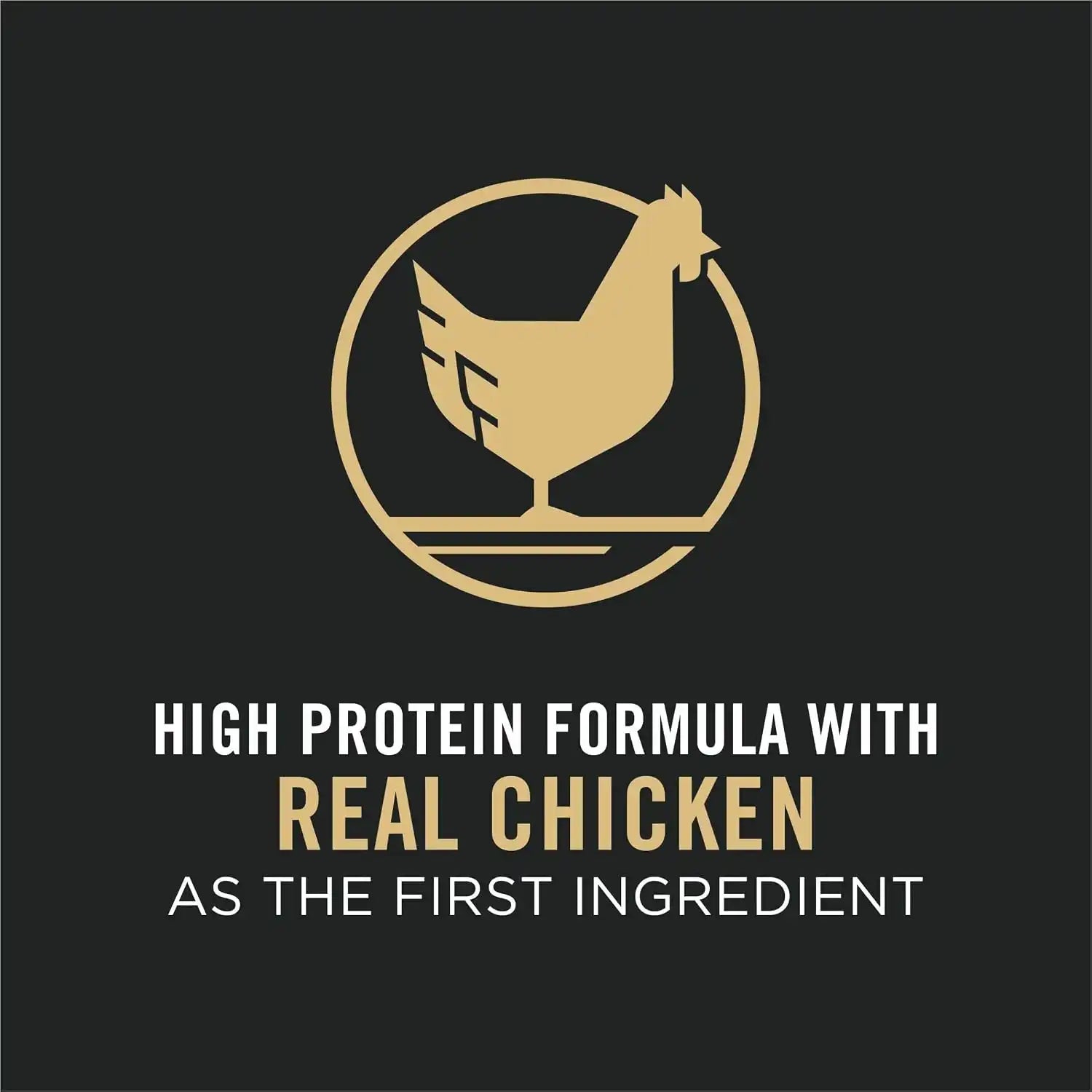 purinadogfood.it.com