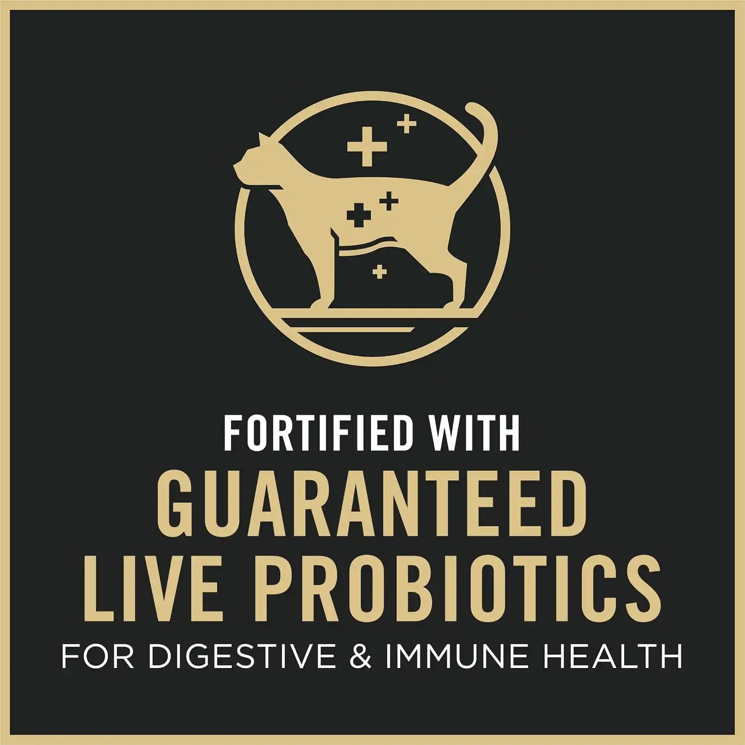 purinadogfood.it.com