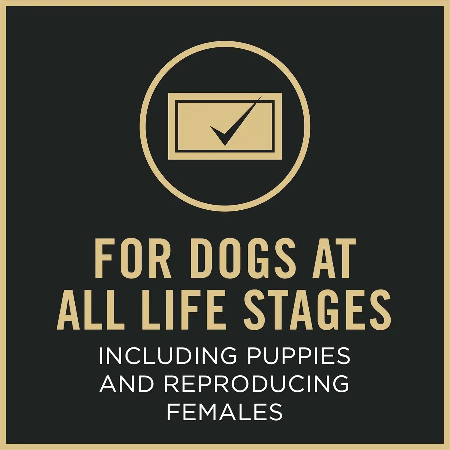 purinadogfood.it.com