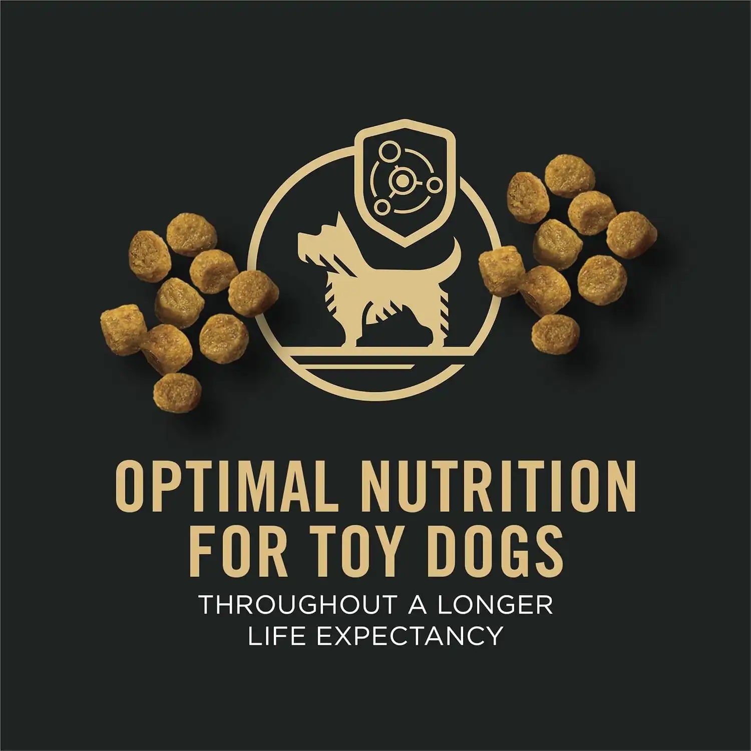 purinadogfood.it.com