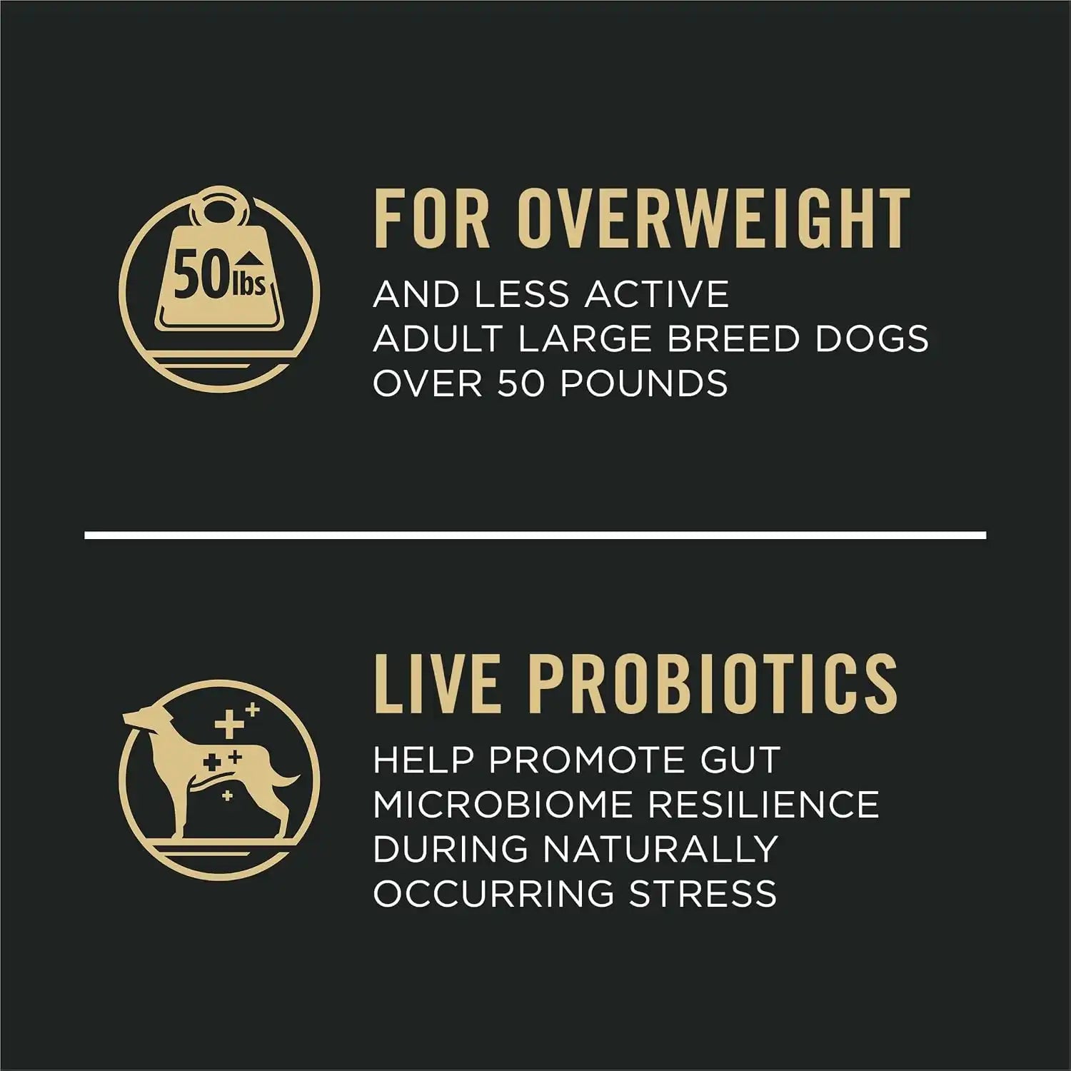 purinadogfood.it.com