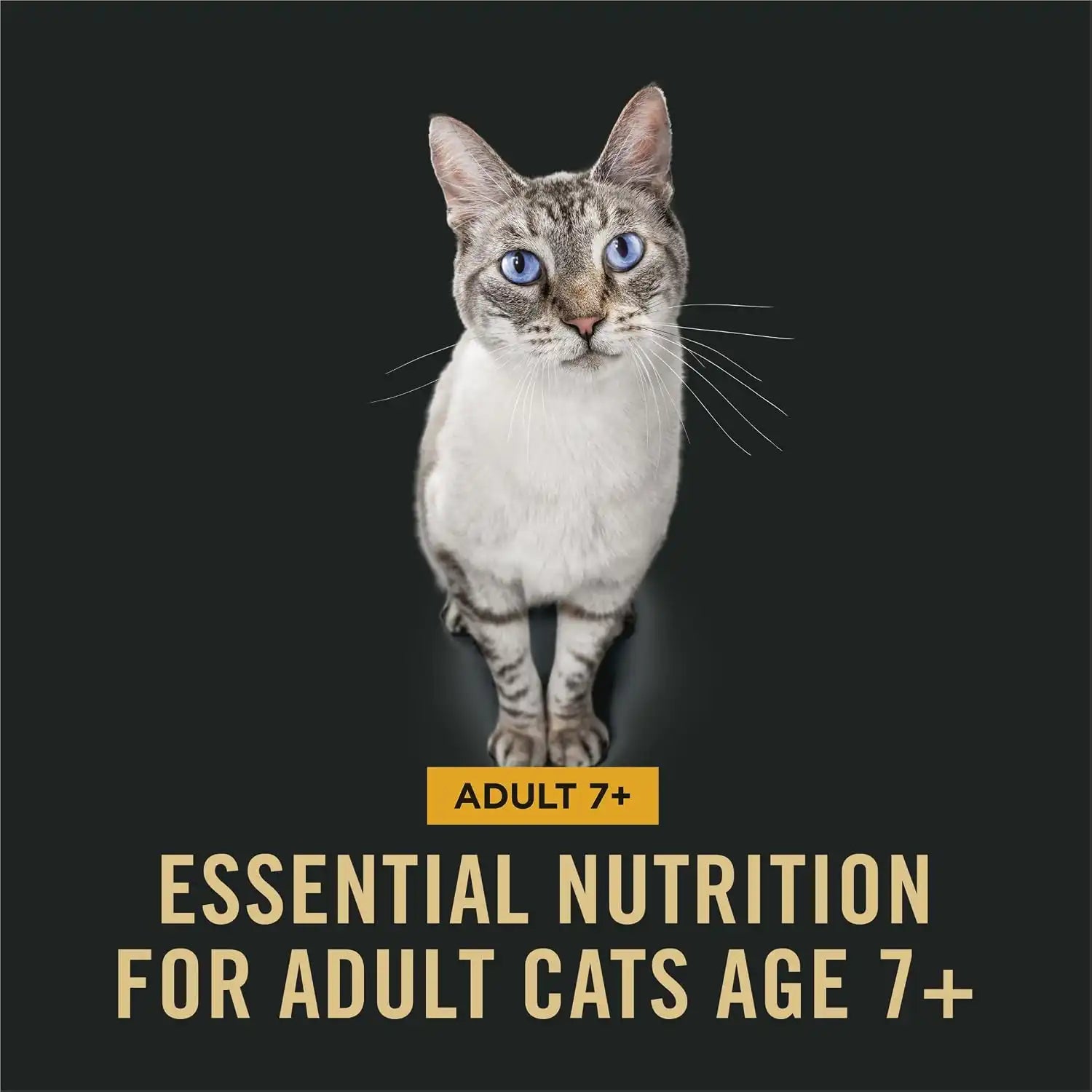 purinadogfood.it.com