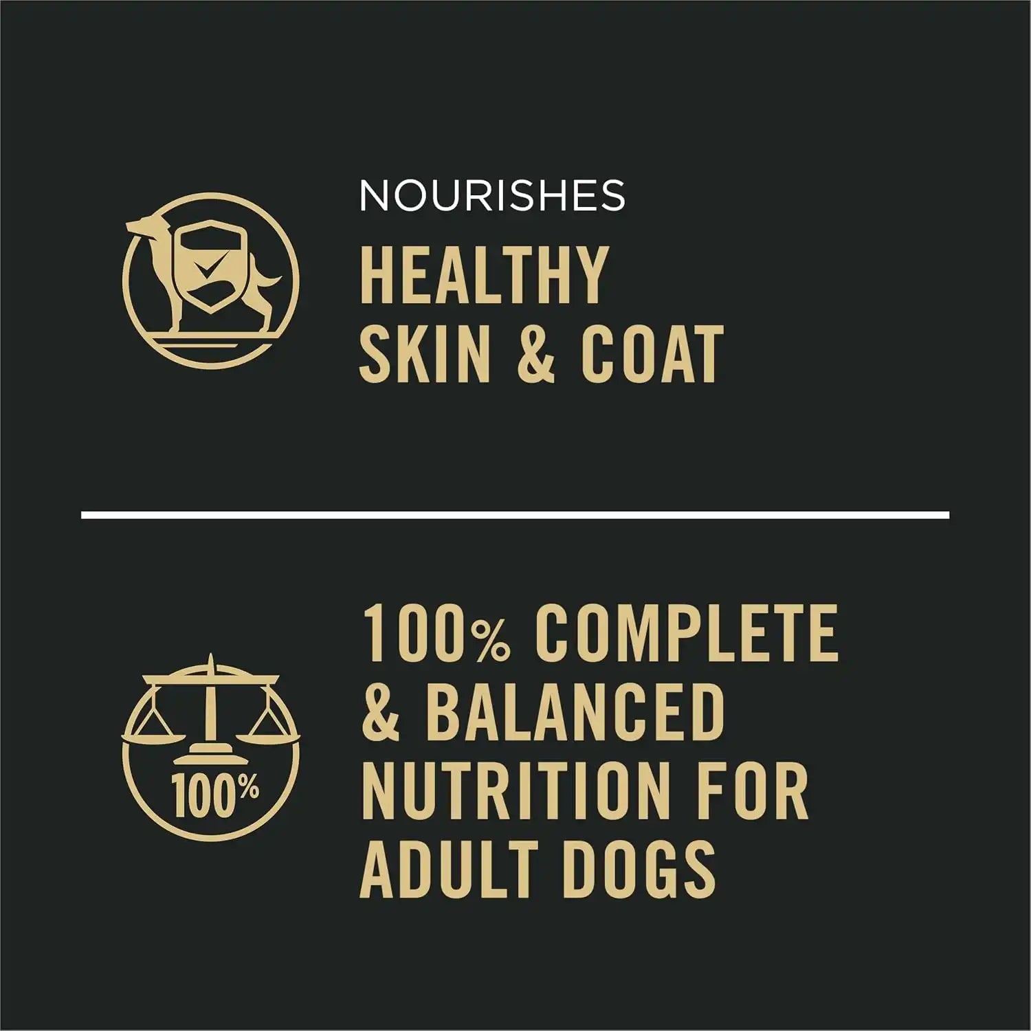 purinadogfood.it.com