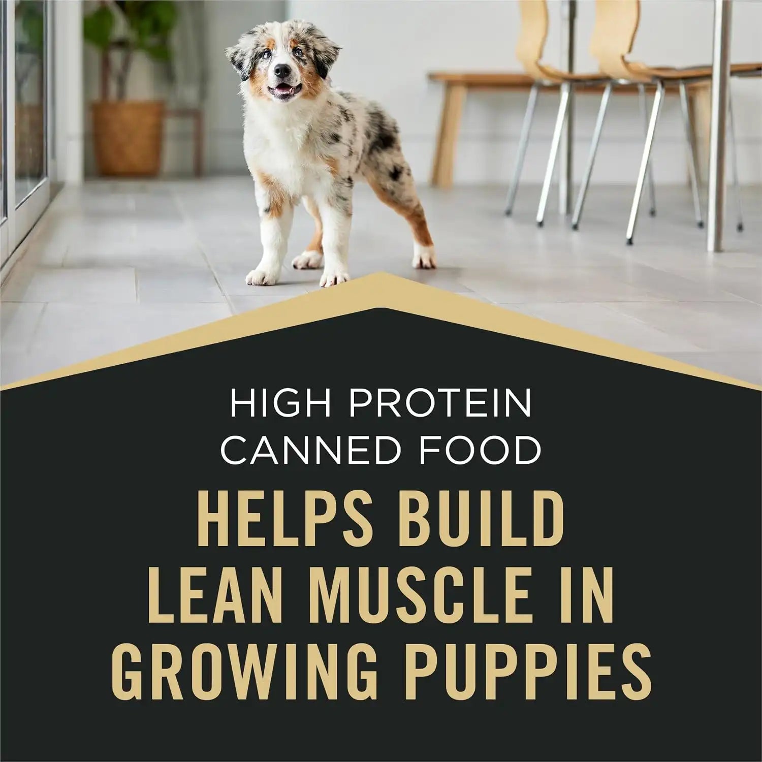 purinadogfood.it.com