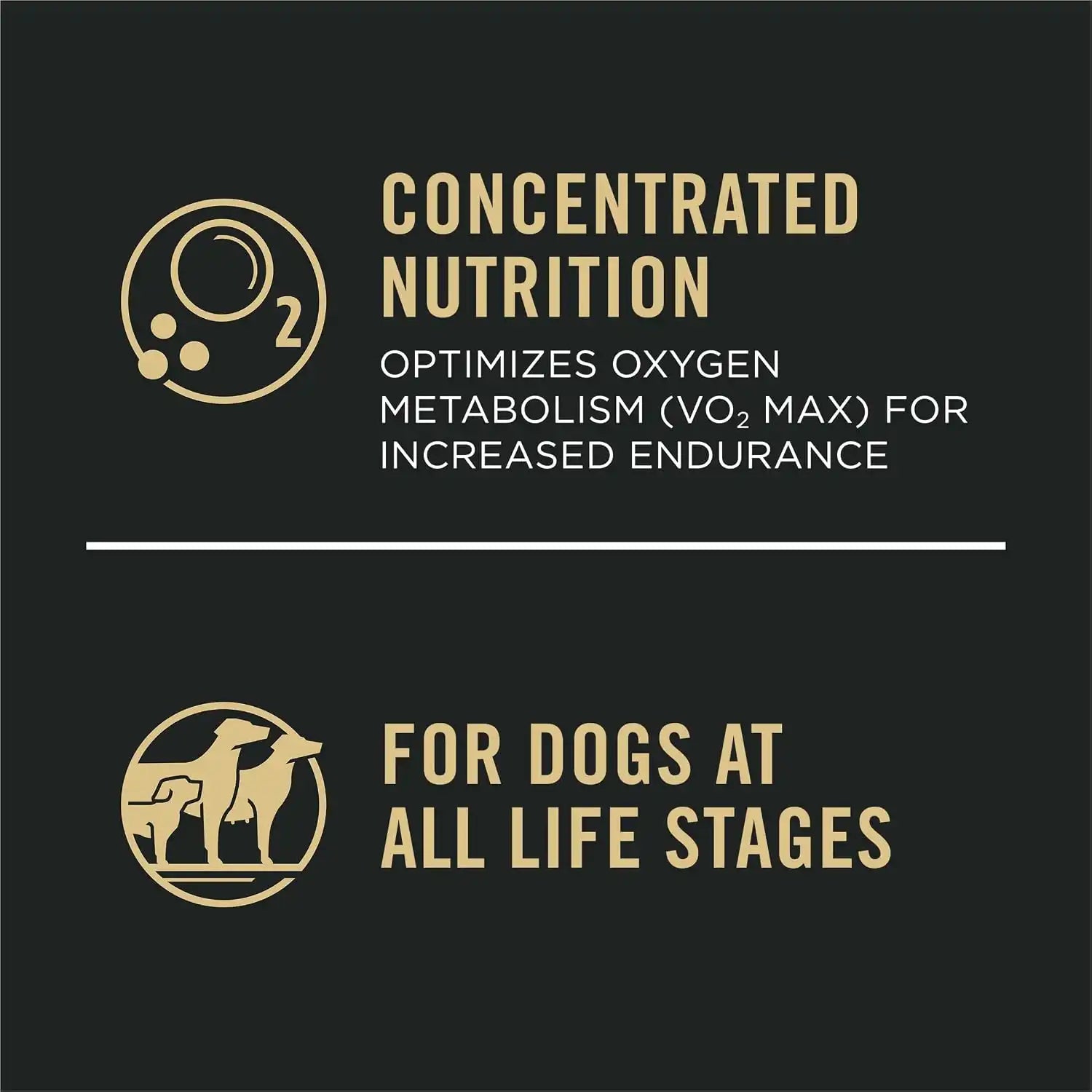 purinadogfood.it.com